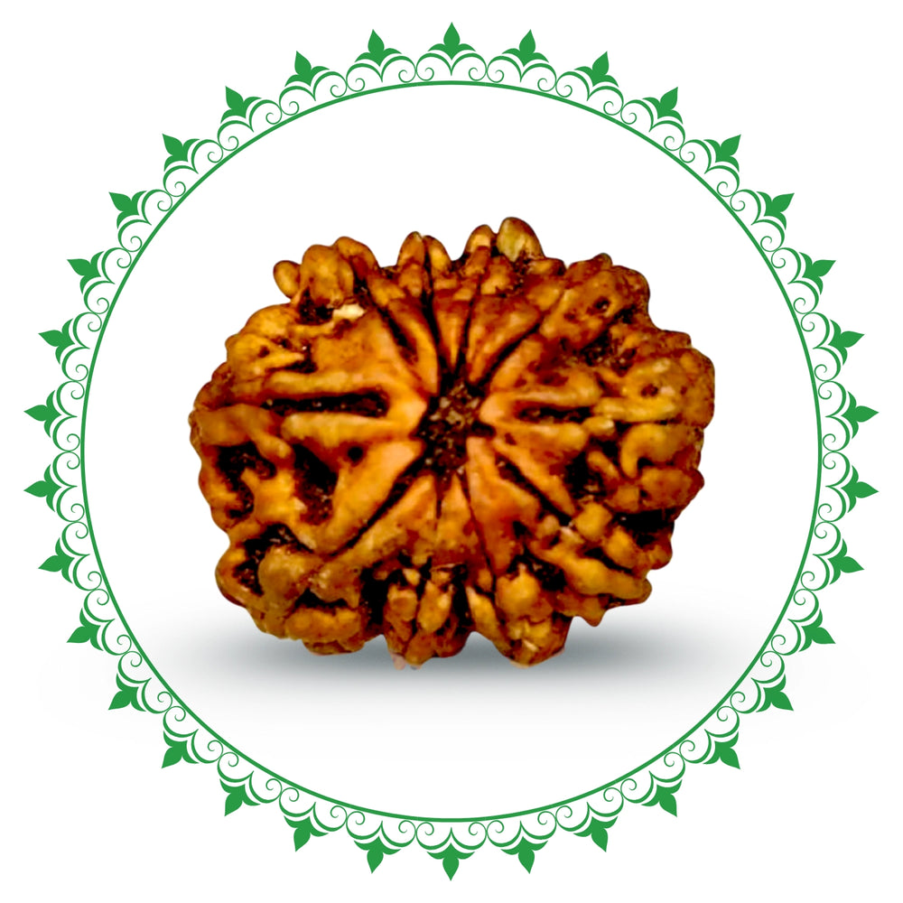 10 Mukhi