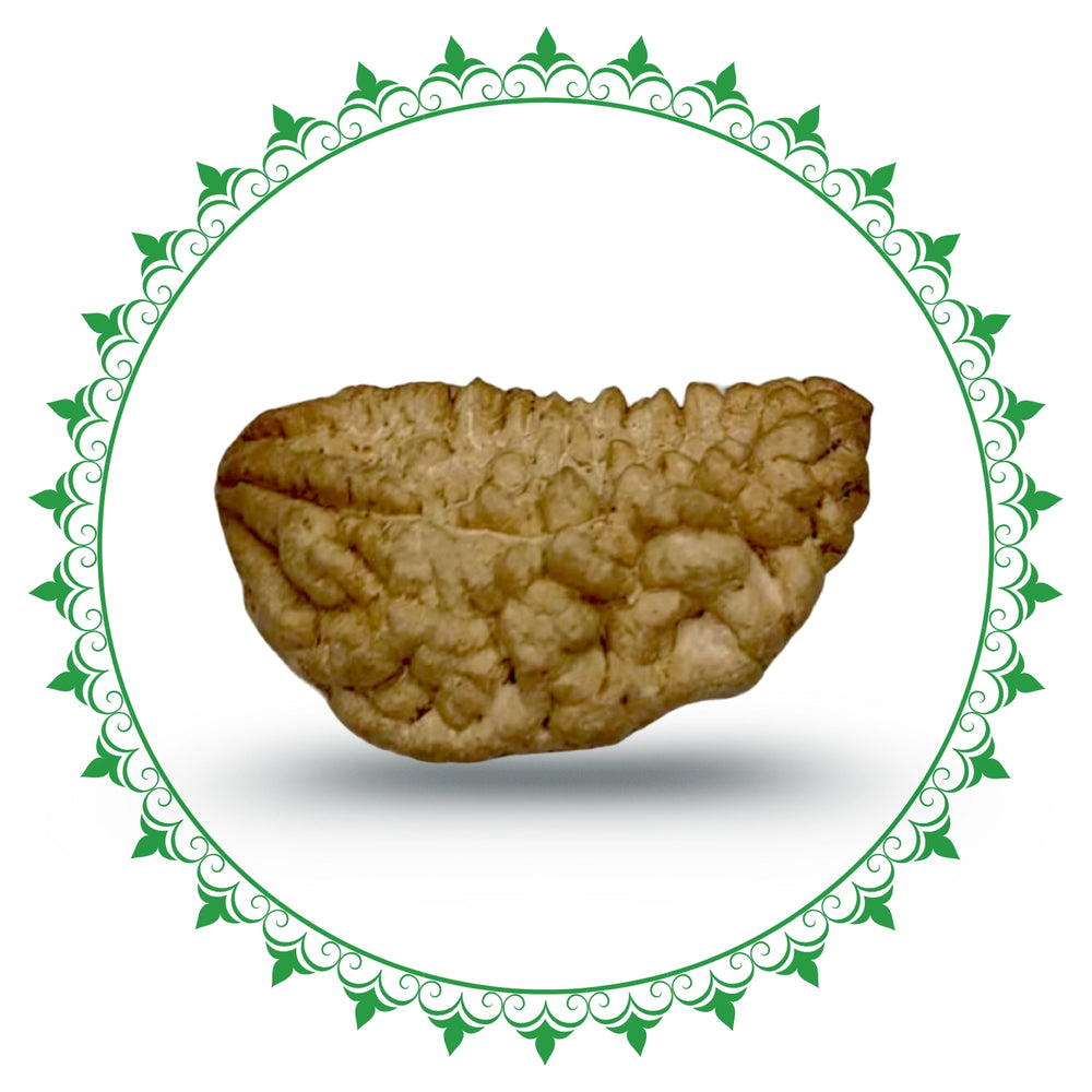 1 Mukhi