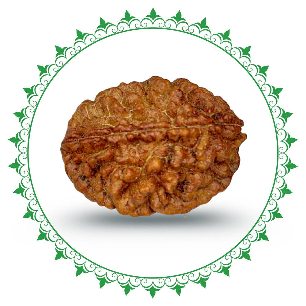 2 Mukhi