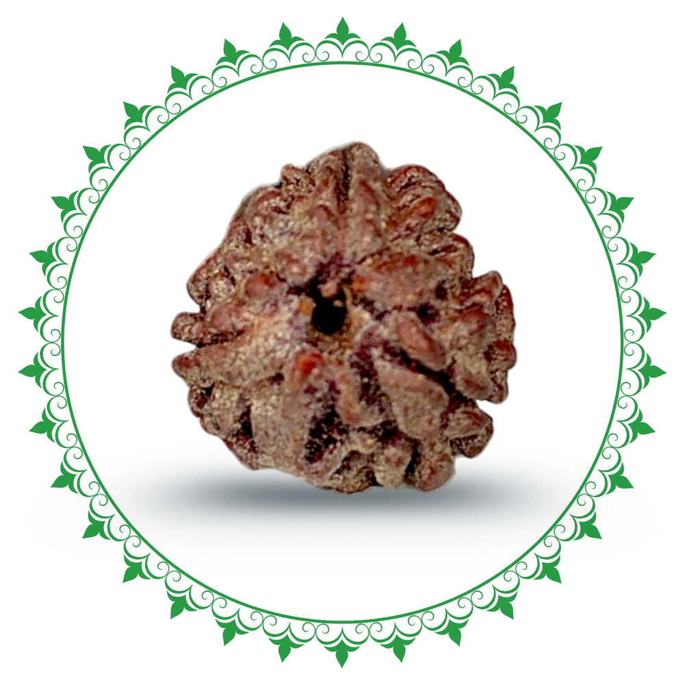 3 Mukhi