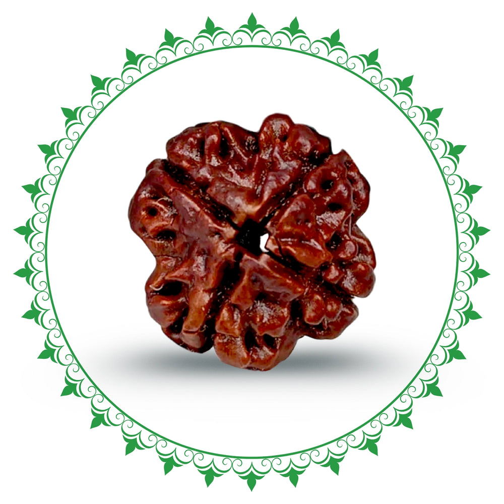 4 Mukhi