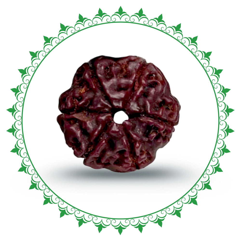 6 Mukhi