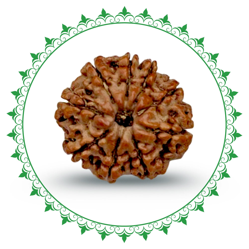 9 Mukhi
