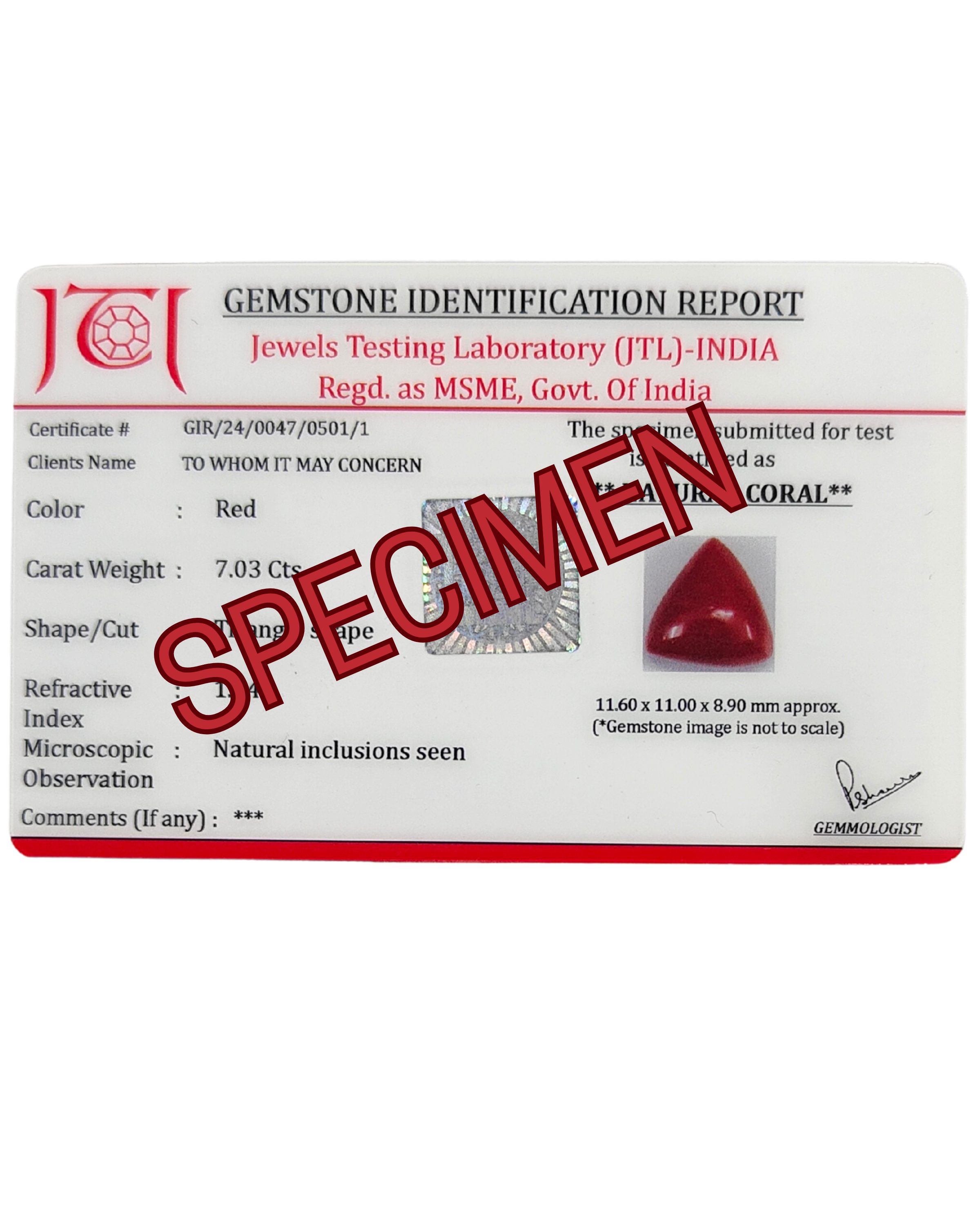 Premium Grade 3.93 Ct - 4.36 Ratti Natural Triangle Red Coral - Laal Moonga