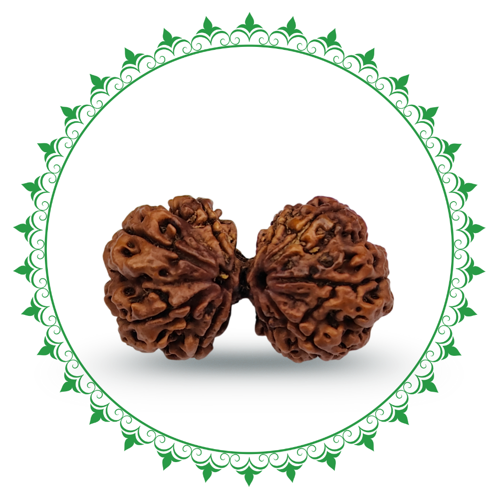 Gauri Shankar Rudraksha