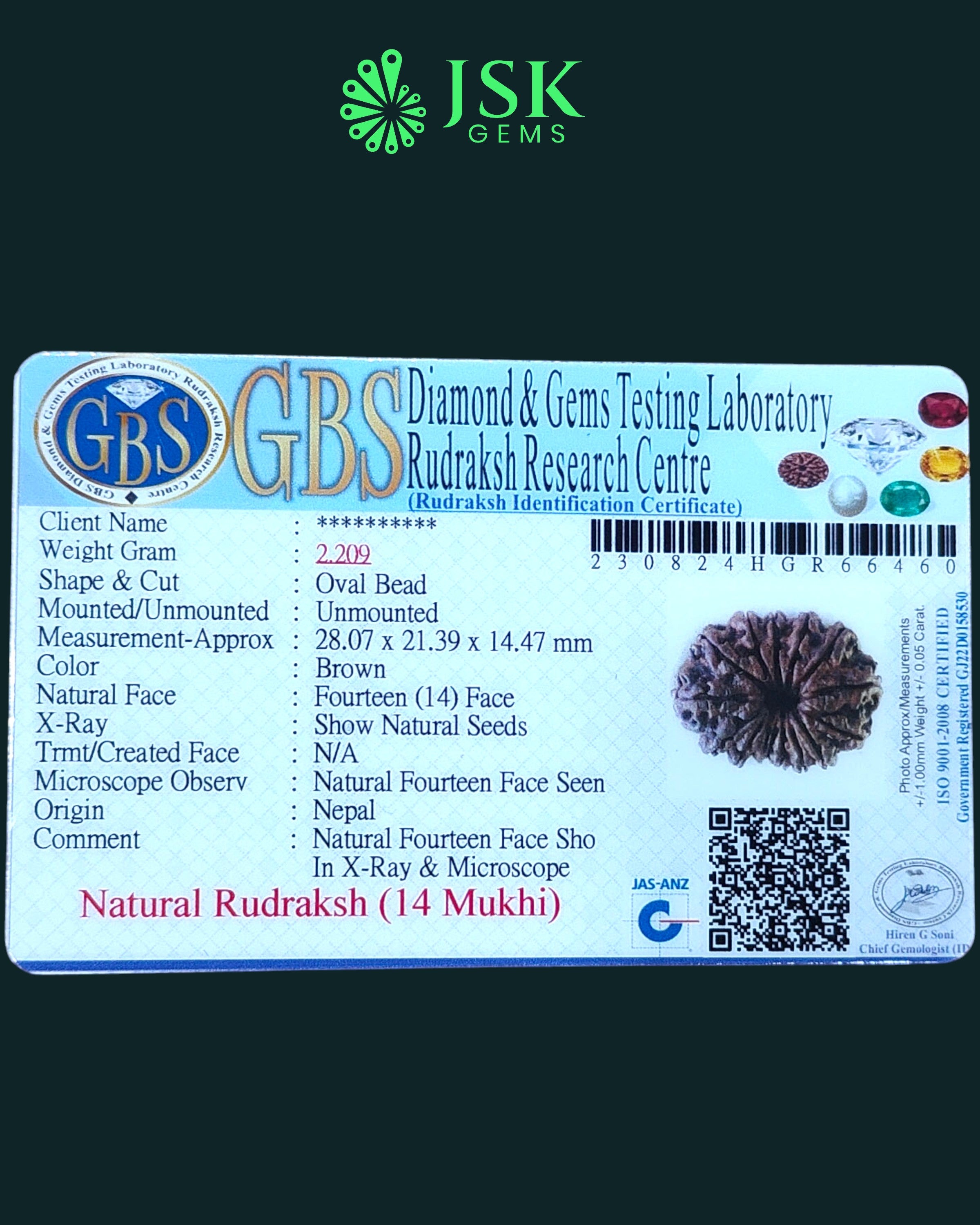 Certified 14 Mukhi Rudraksha from Nepal - Premium Quality
