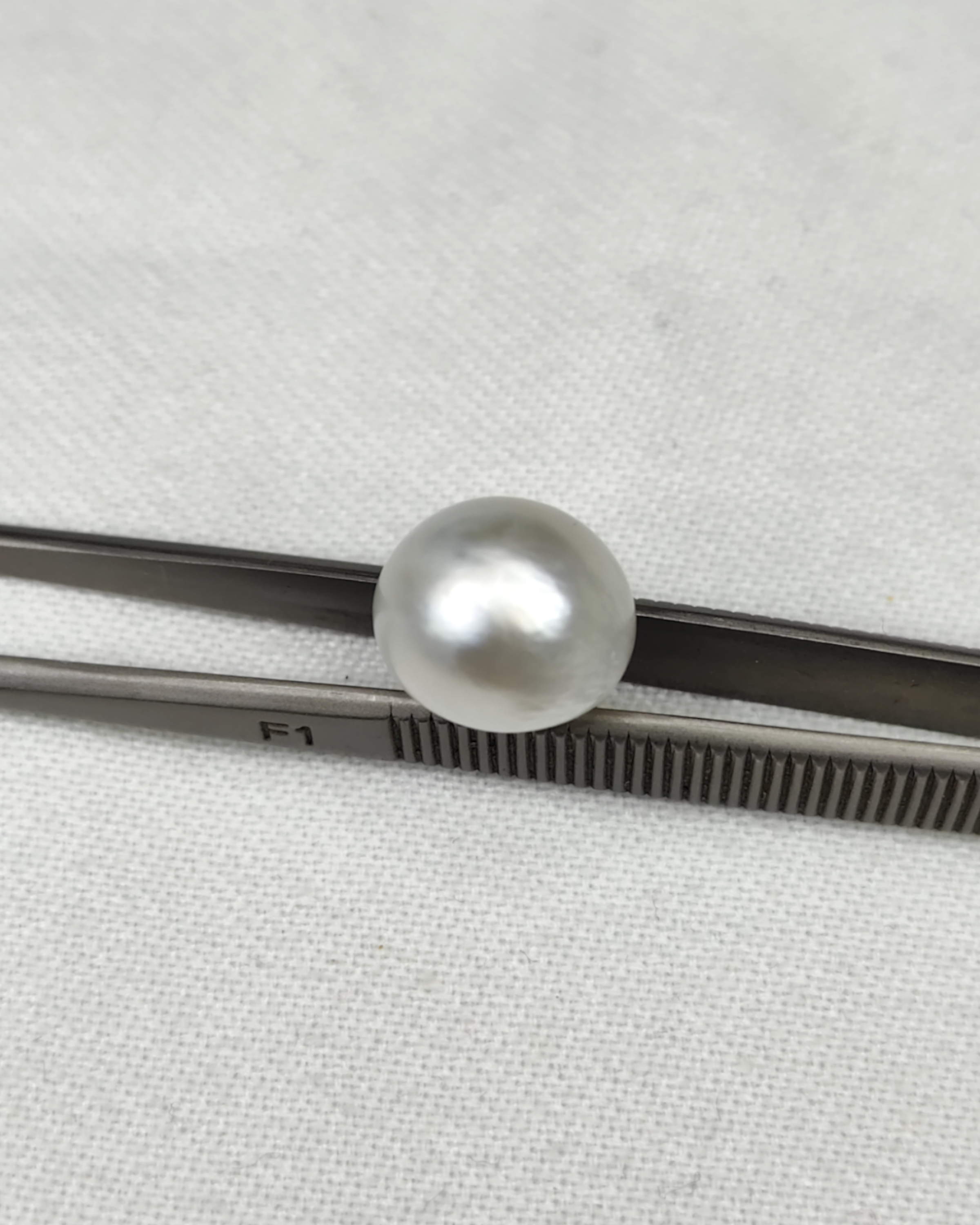 GIA Certified 11.63 Ct - 12.92 Ratti Natural Salt Water Pearl