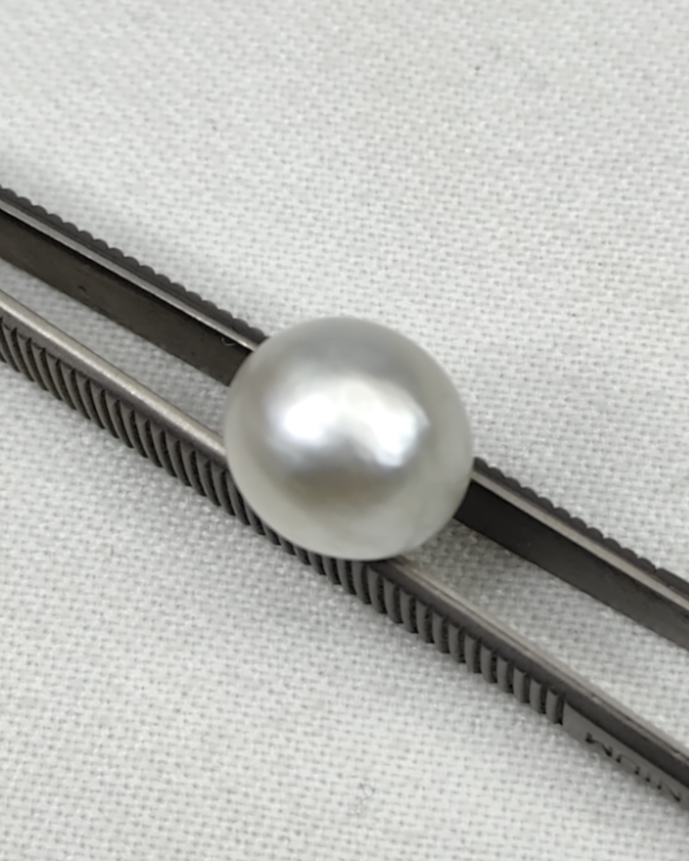 GIA Certified 11.63 Ct - 12.92 Ratti Natural Salt Water Pearl