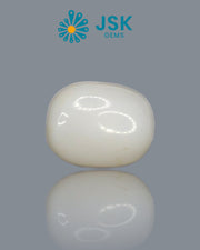Premium Grade 7.28 Ct - 8.08 Ratti Natural White Coral/Safed Moonga