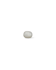 Premium Grade 7.28 Ct - 8.08 Ratti Natural White Coral/Safed Moonga