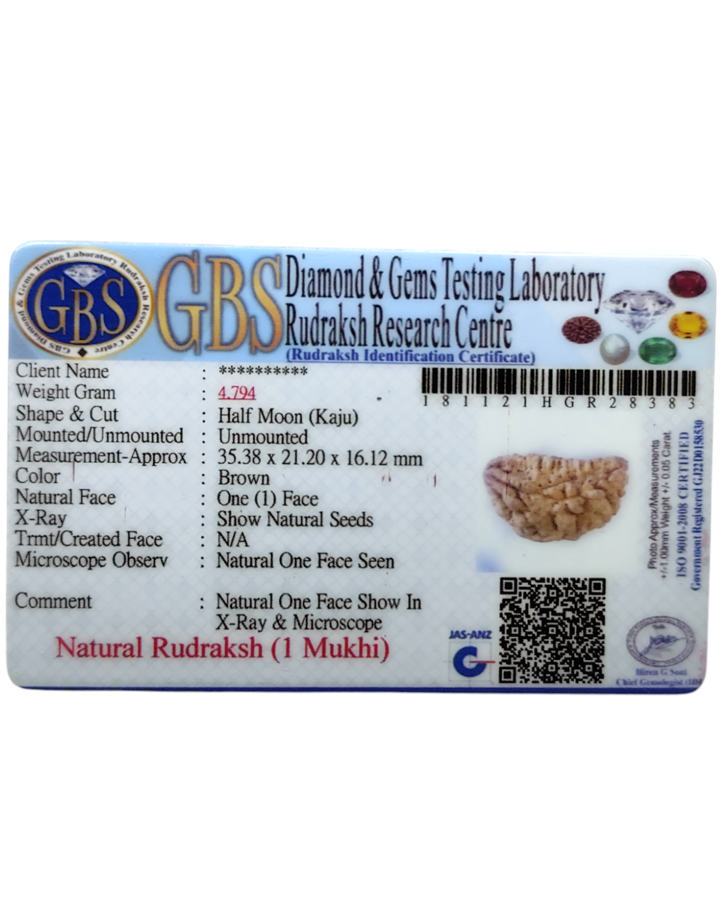 Certified 1 Mukhi Rudraksha - Kaju Dana from Nepal - Premium Quality