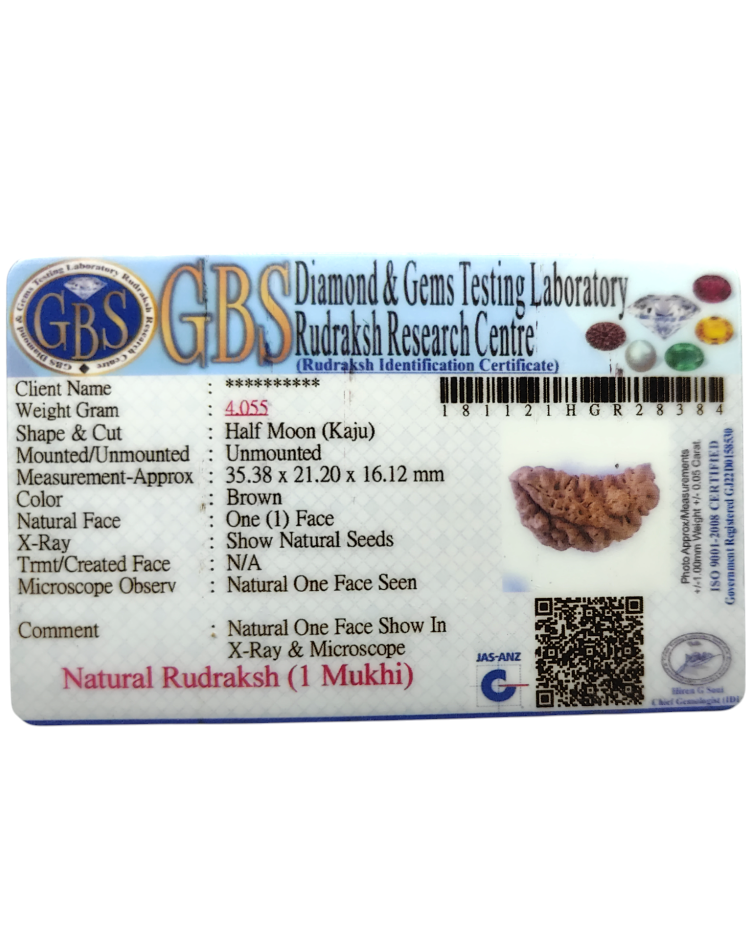 Certified 1 Mukhi Rudraksha - Kaju Dana from Nepal - Premium Quality