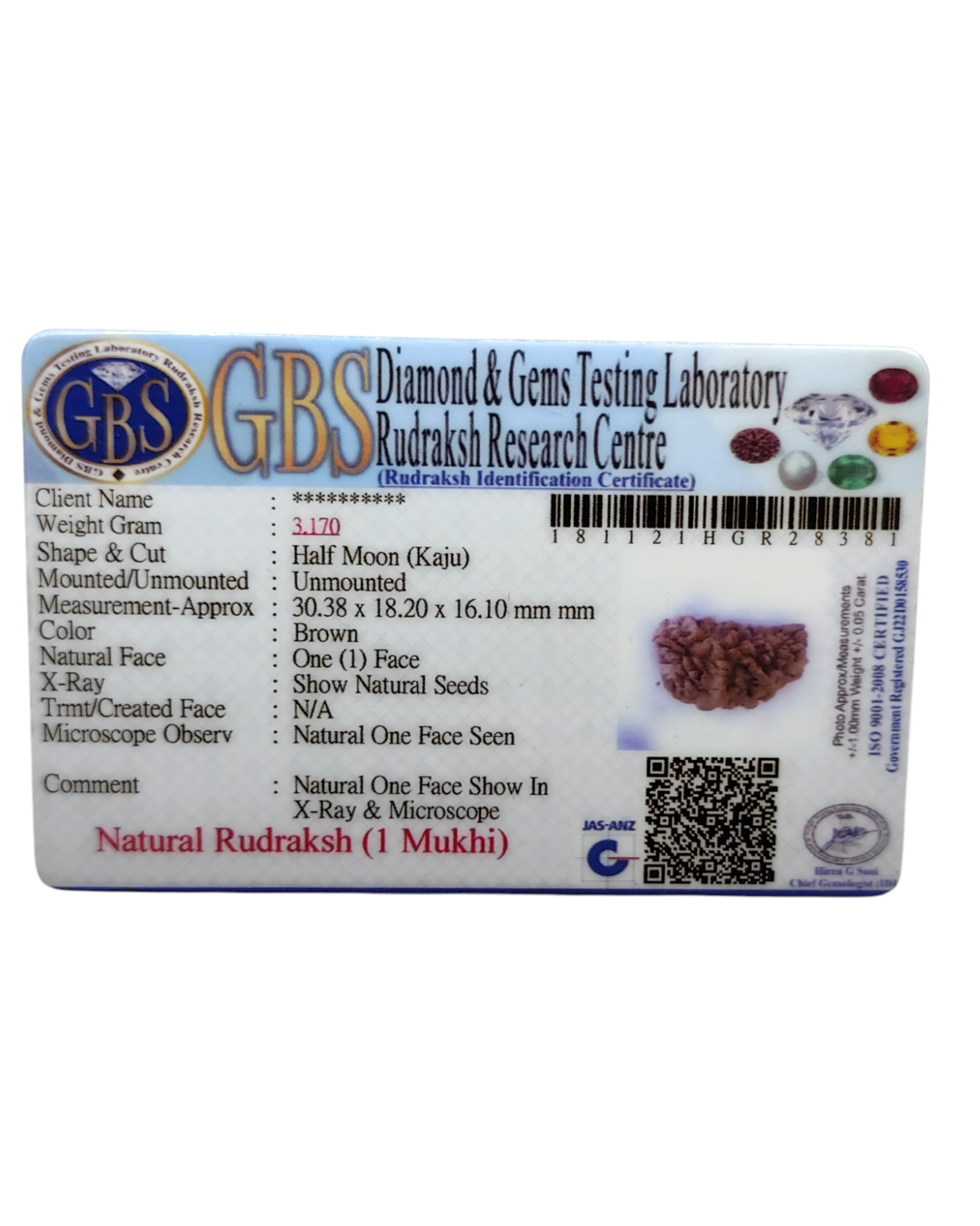 Certified 1 Mukhi Rudraksha - Kaju Dana from Nepal - Premium Quality