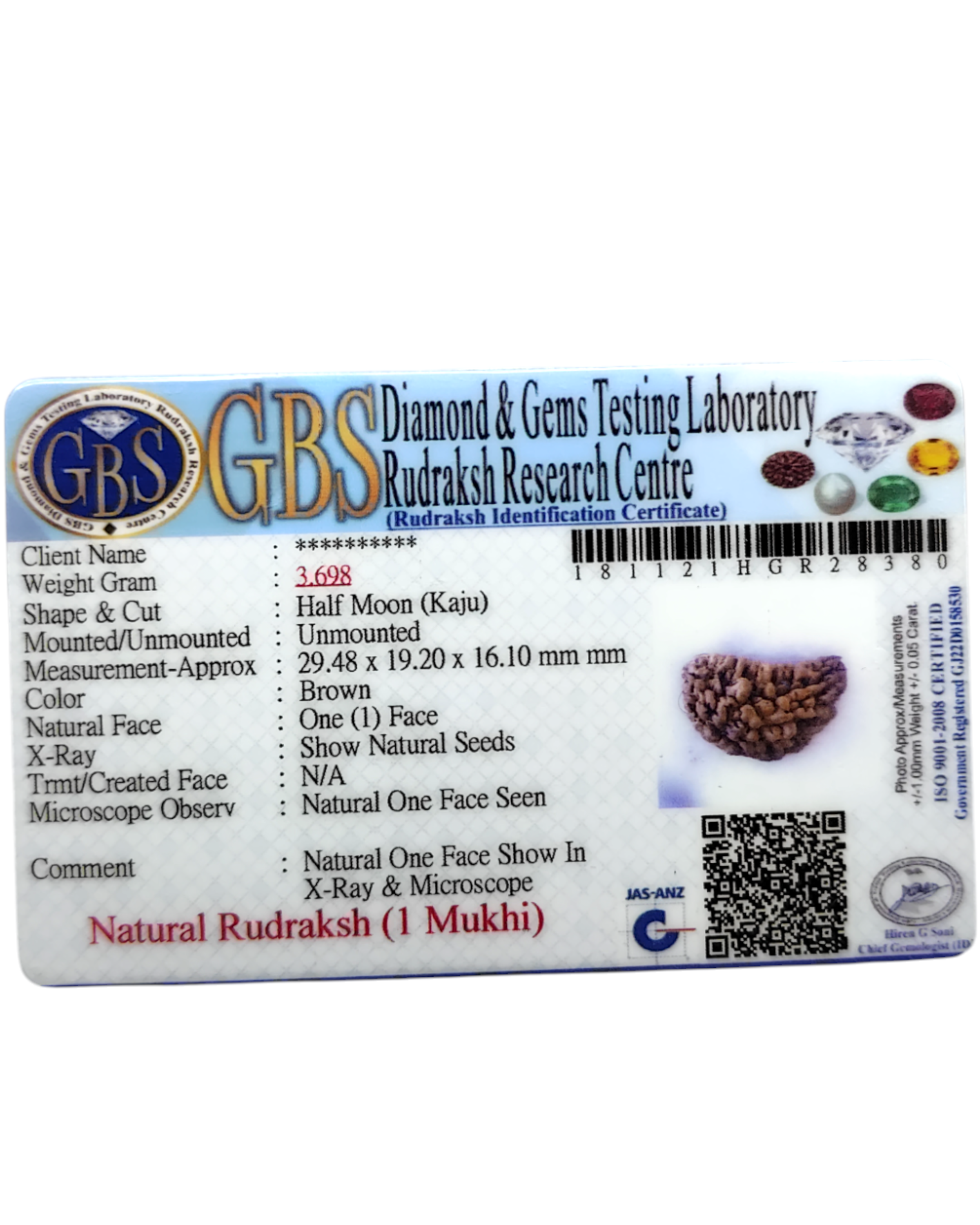 Certified 1 Mukhi Rudraksha - Kaju Dana from Nepal - Premium Quality
