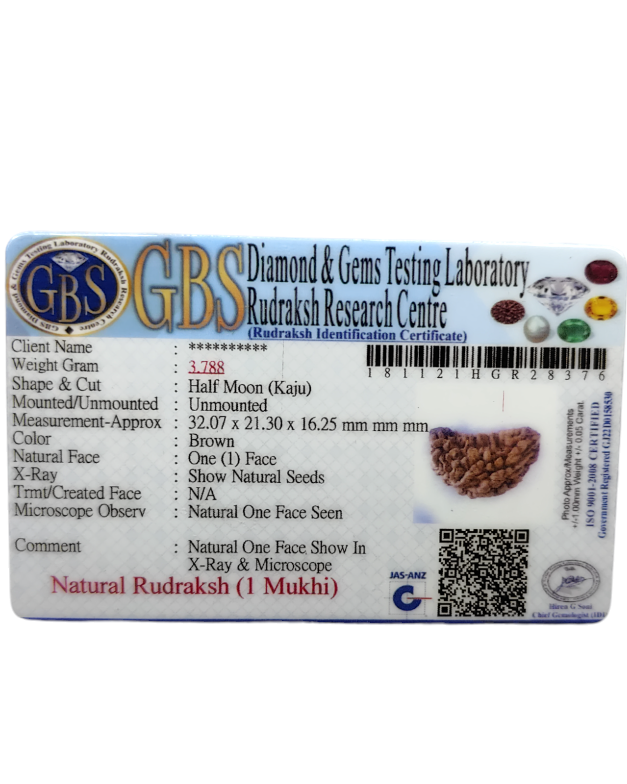 Certified 1 Mukhi Rudraksha - Kaju Dana from Nepal - Premium Quality