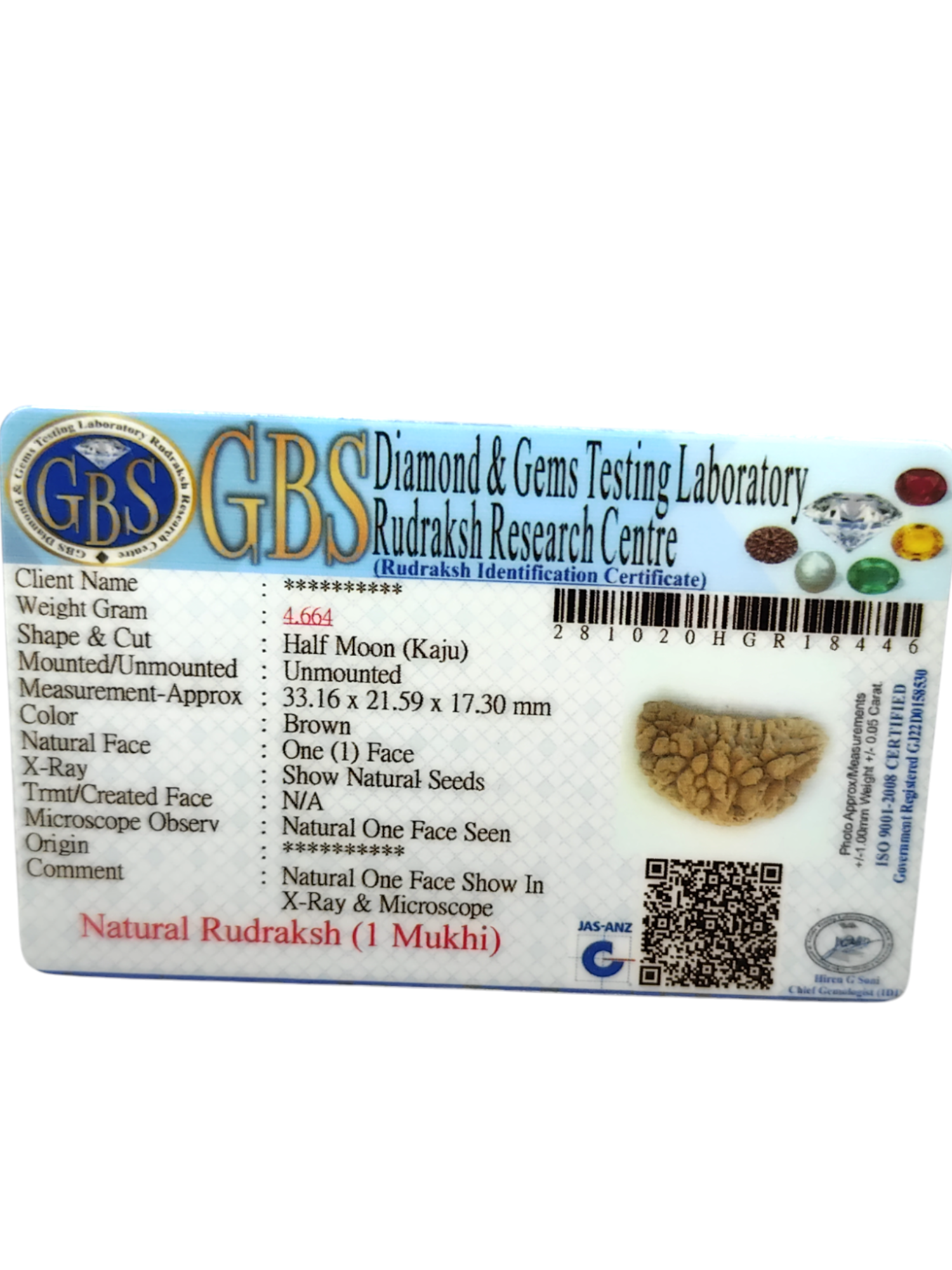 Certified 1 Mukhi Rudraksha - Kaju Dana from Nepal - Premium Quality