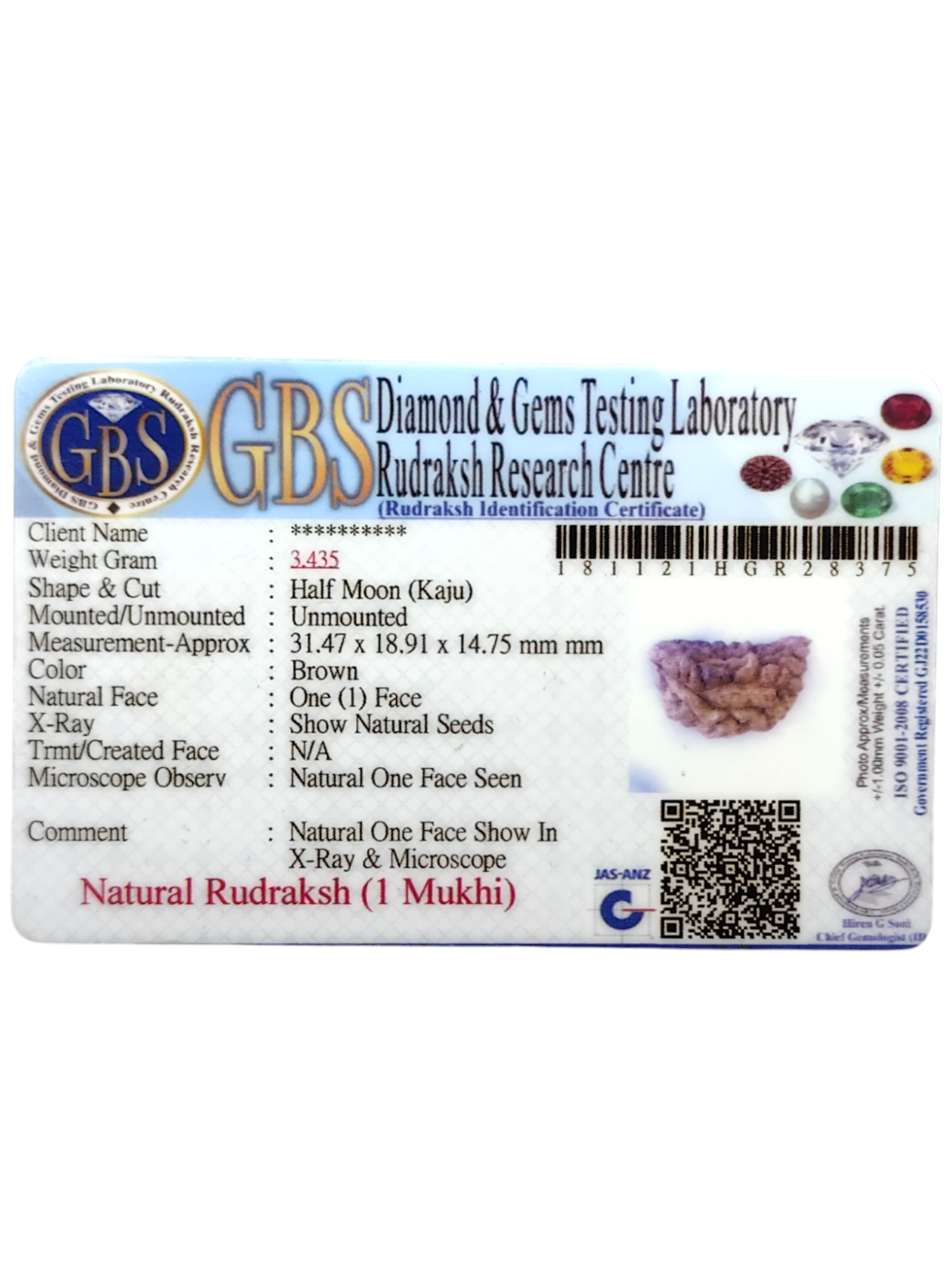 Certified 1 Mukhi Rudraksha - Kaju Dana from Nepal - Premium Quality