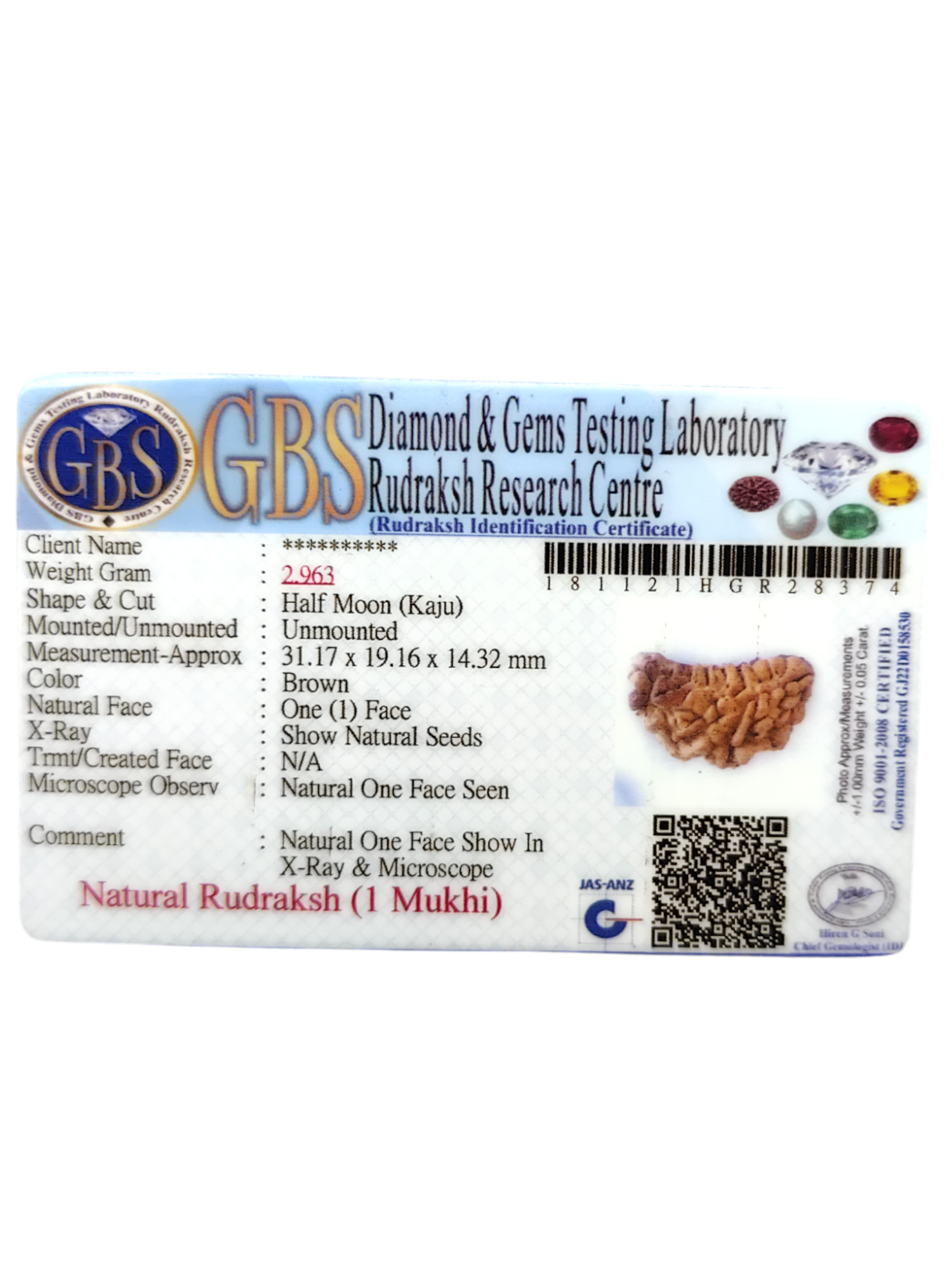 Certified 1 Mukhi Rudraksha - Kaju Dana from Nepal - Premium Quality