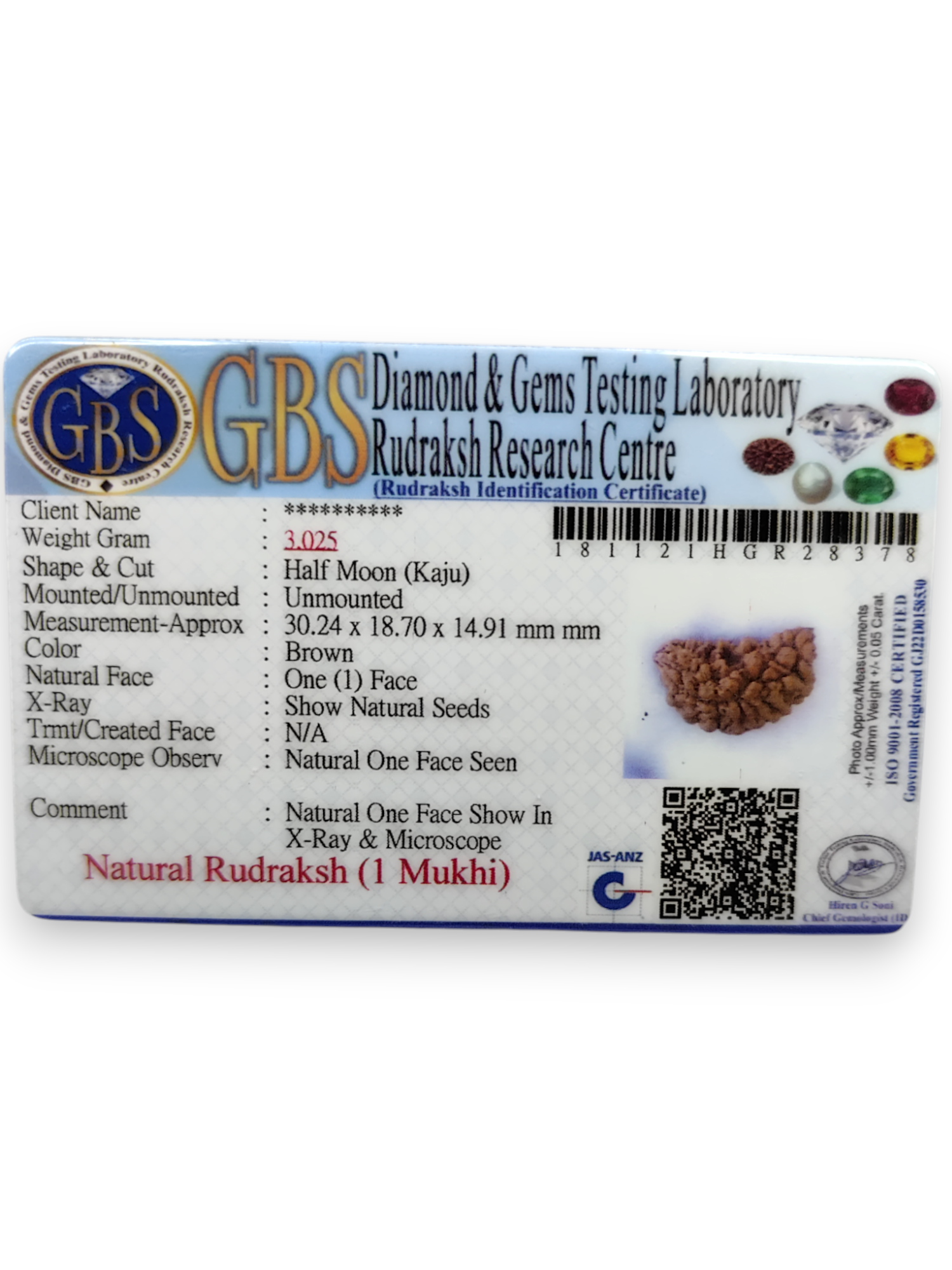 Certified 1 Mukhi Rudraksha - Kaju Dana from Nepal - Premium Quality