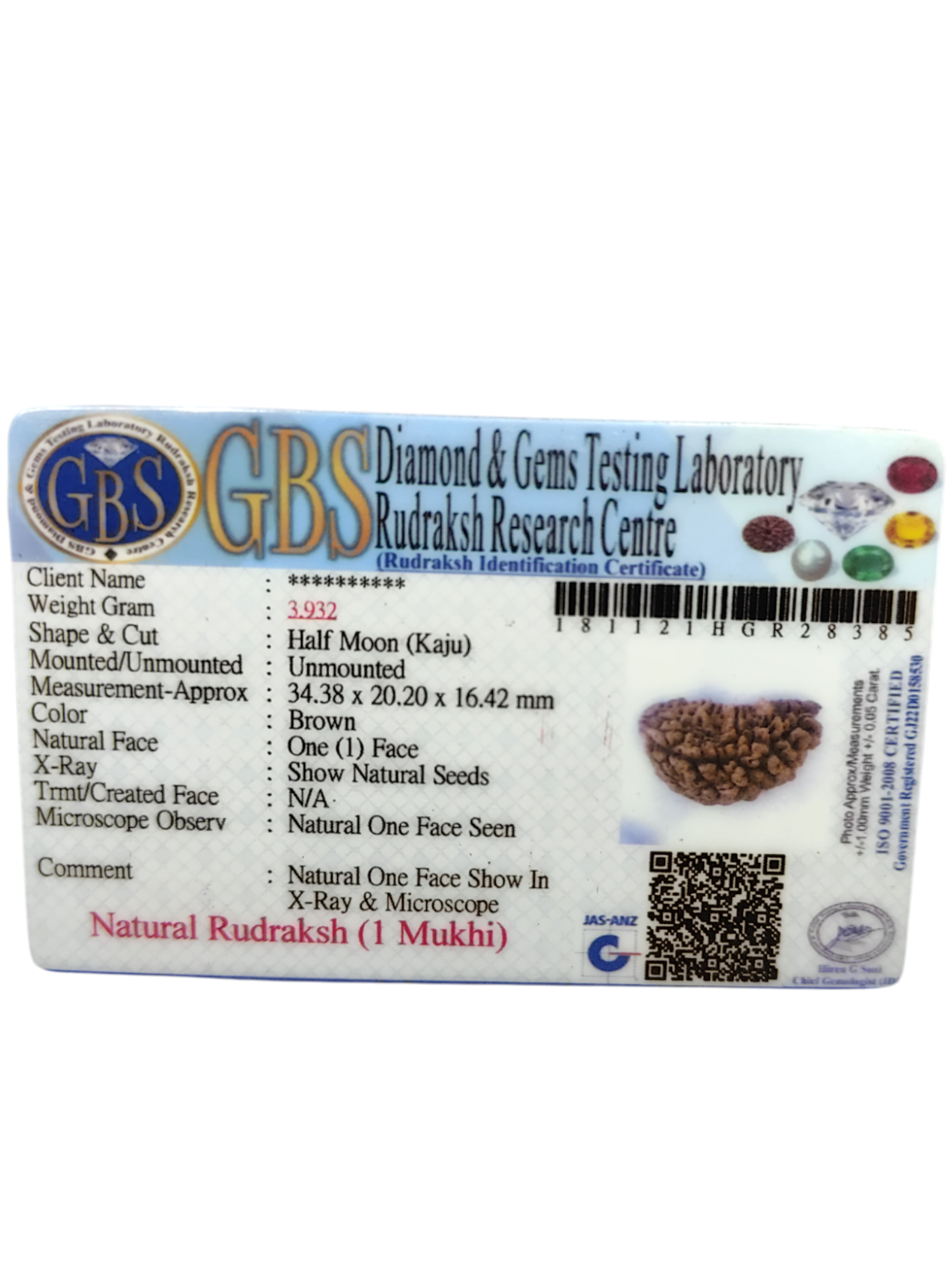 Certified 1 Mukhi Rudraksha - Kaju Dana from Nepal - Premium Quality