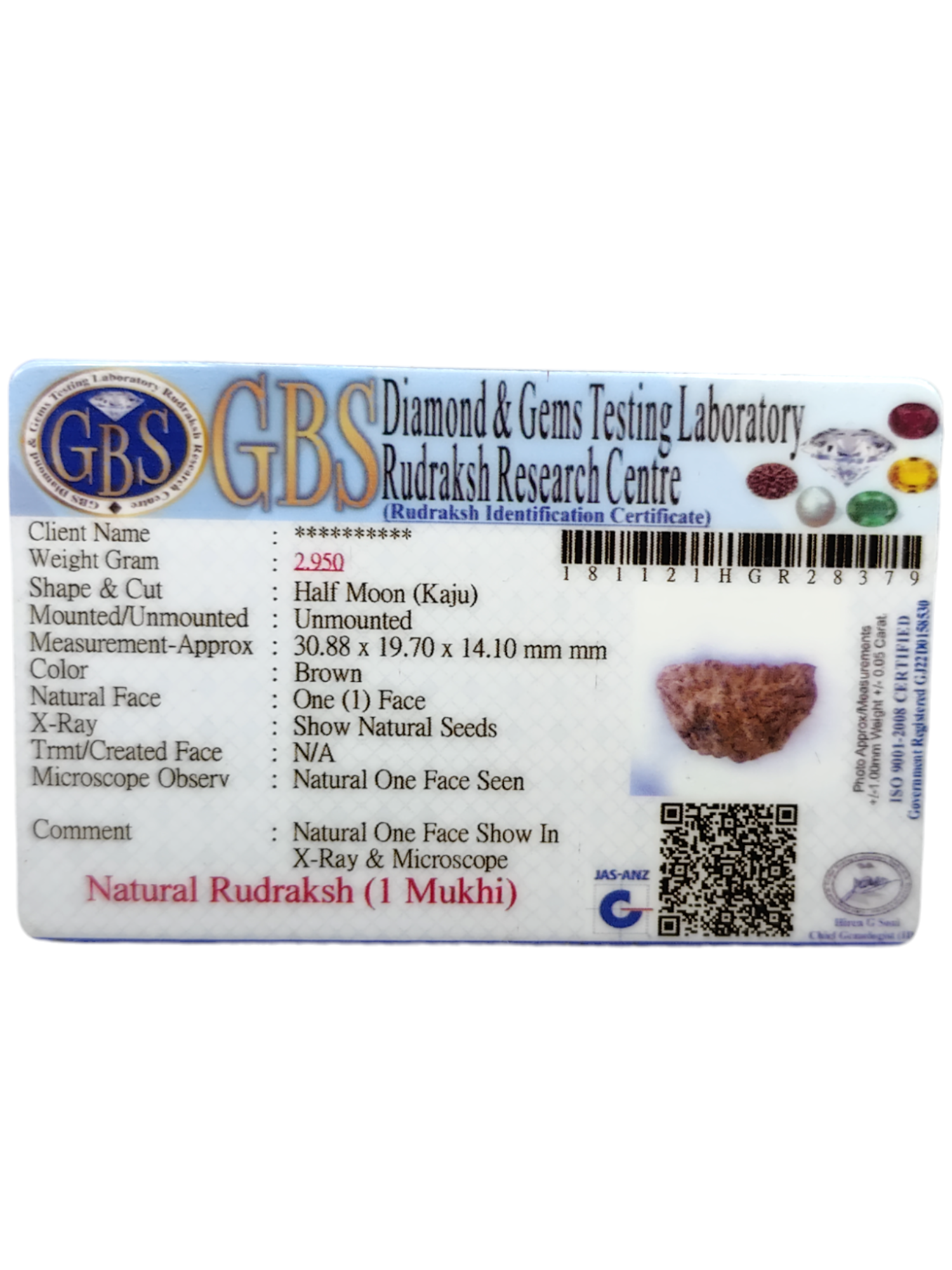 Certified 1 Mukhi Rudraksha - Kaju Dana from Nepal - Premium Quality