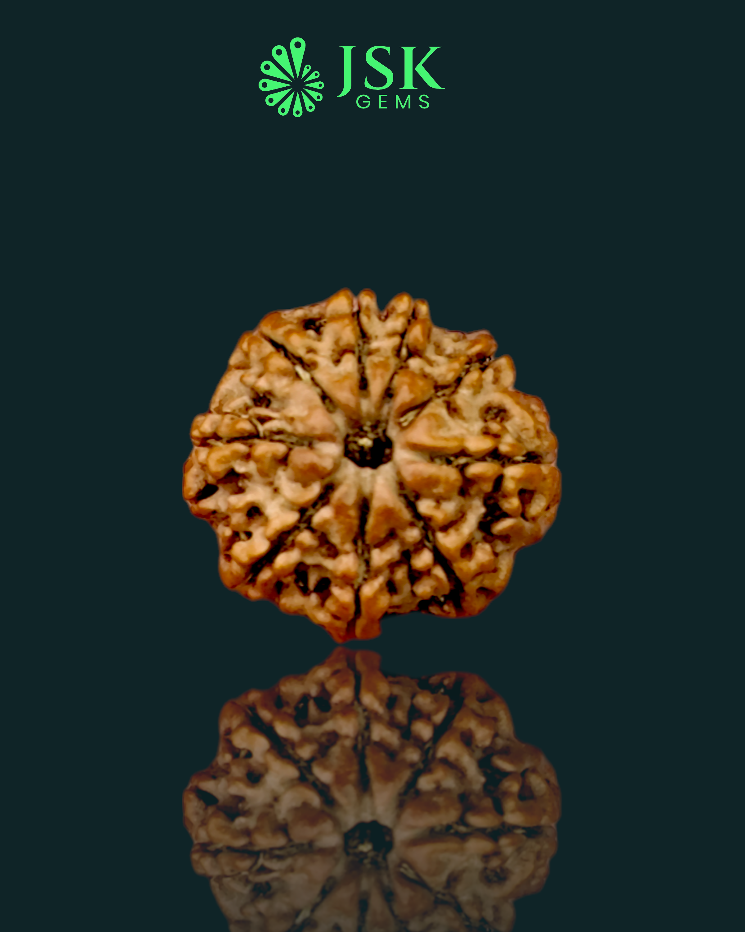 Certified 9 Mukhi Rudraksha from Nepal - Premium Quality