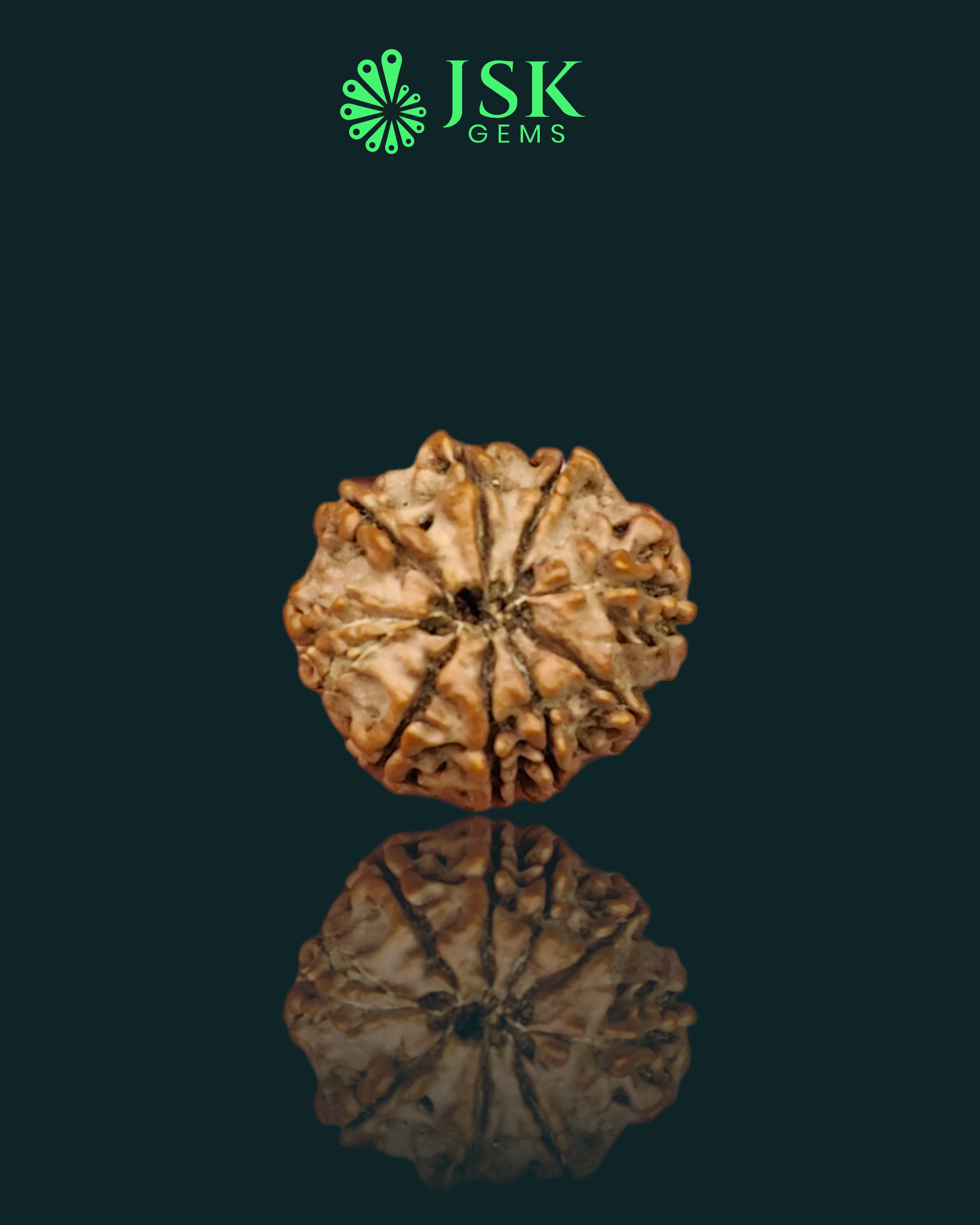 Certified 9 Mukhi Rudraksha from Nepal - Premium Quality