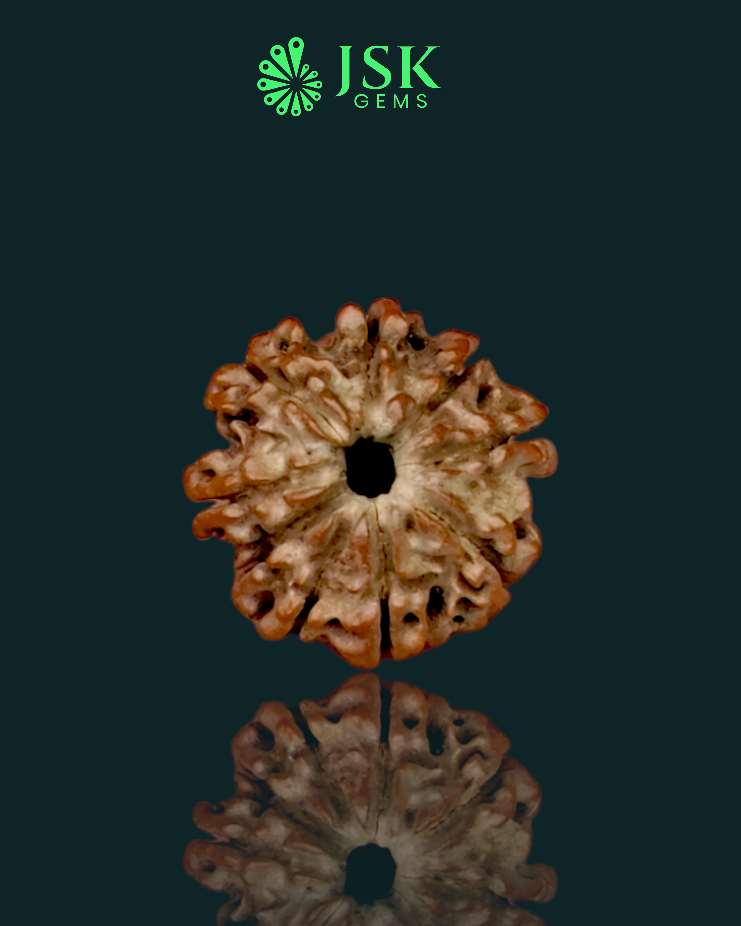 Certified 9 Mukhi Rudraksha from Nepal - Premium Quality