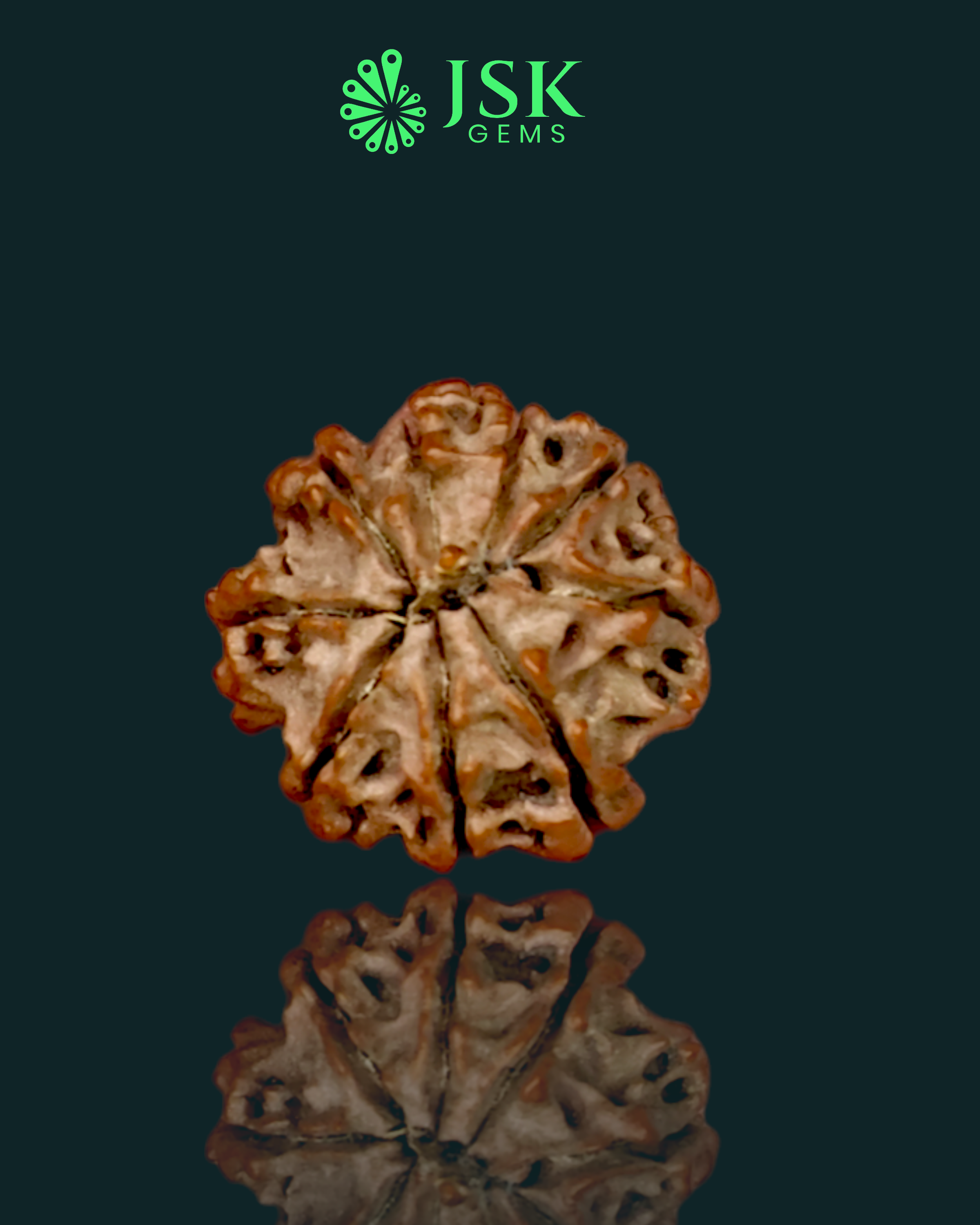 Certified 9 Mukhi Rudraksha from Nepal - Premium Quality
