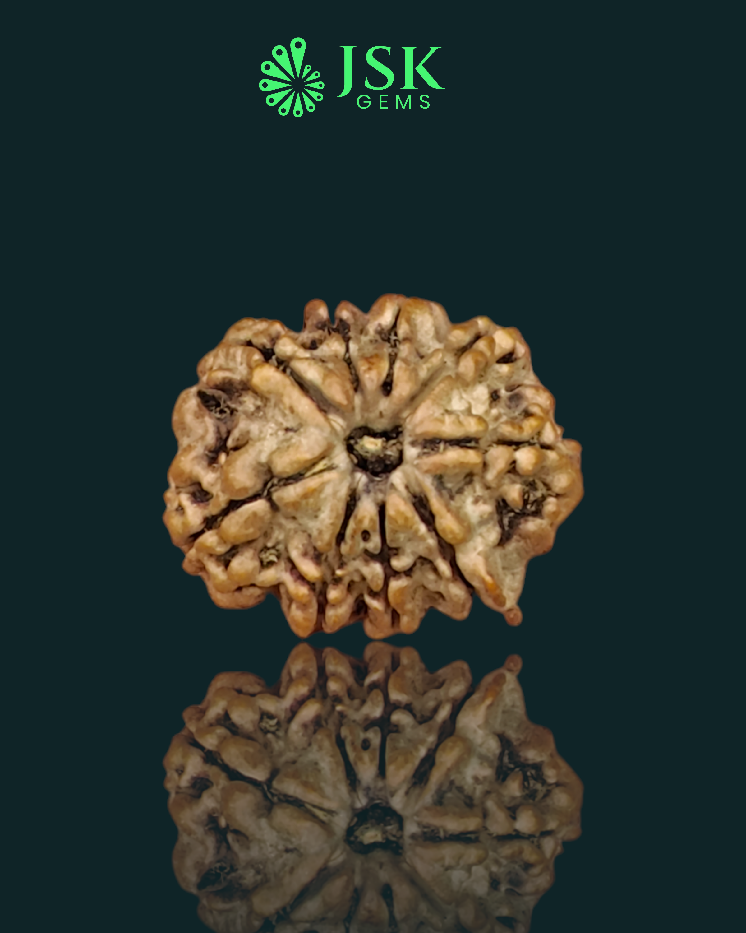 Certified 9 Mukhi Rudraksha from Nepal - Premium Quality