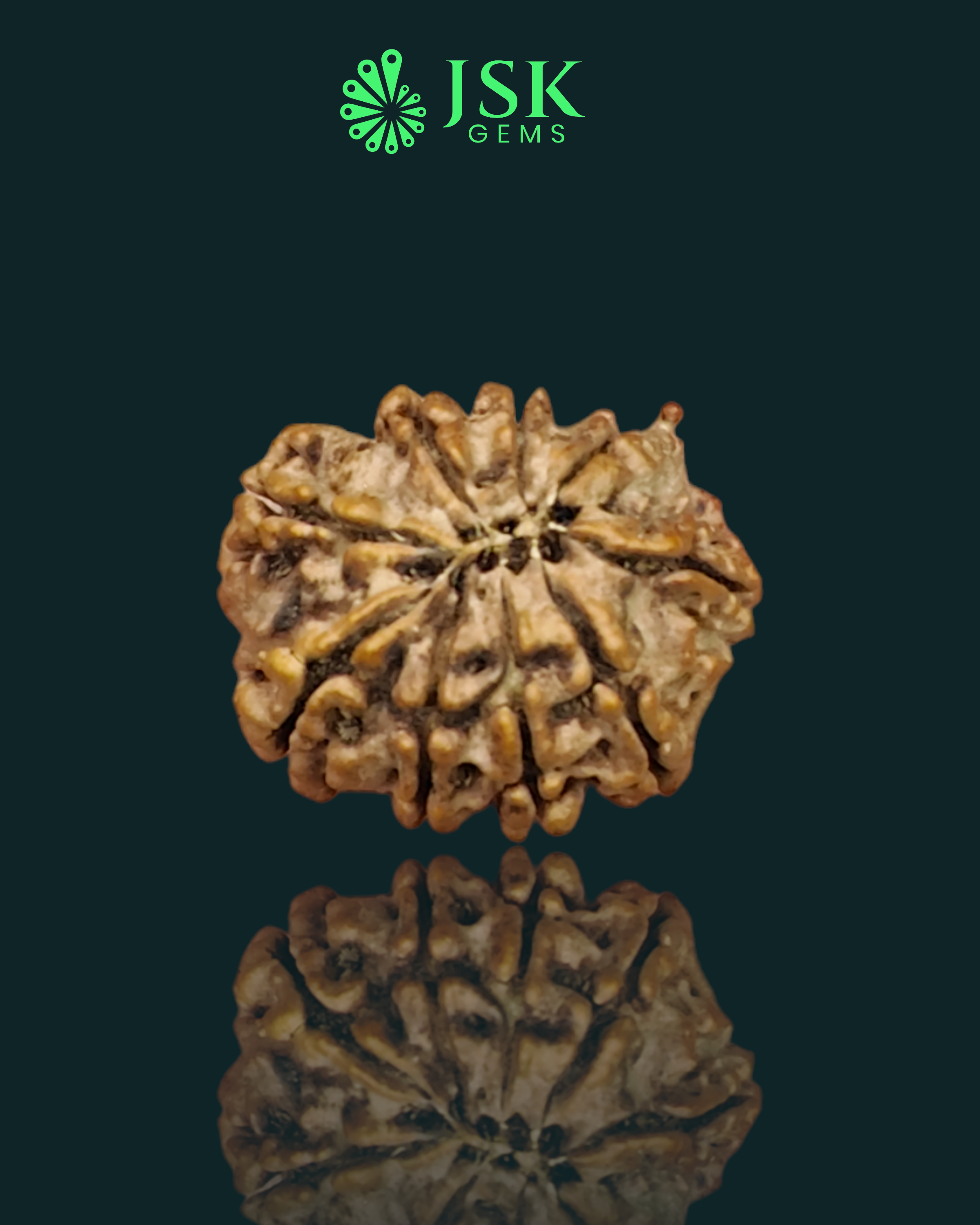 Certified 9 Mukhi Rudraksha from Nepal - Premium Quality