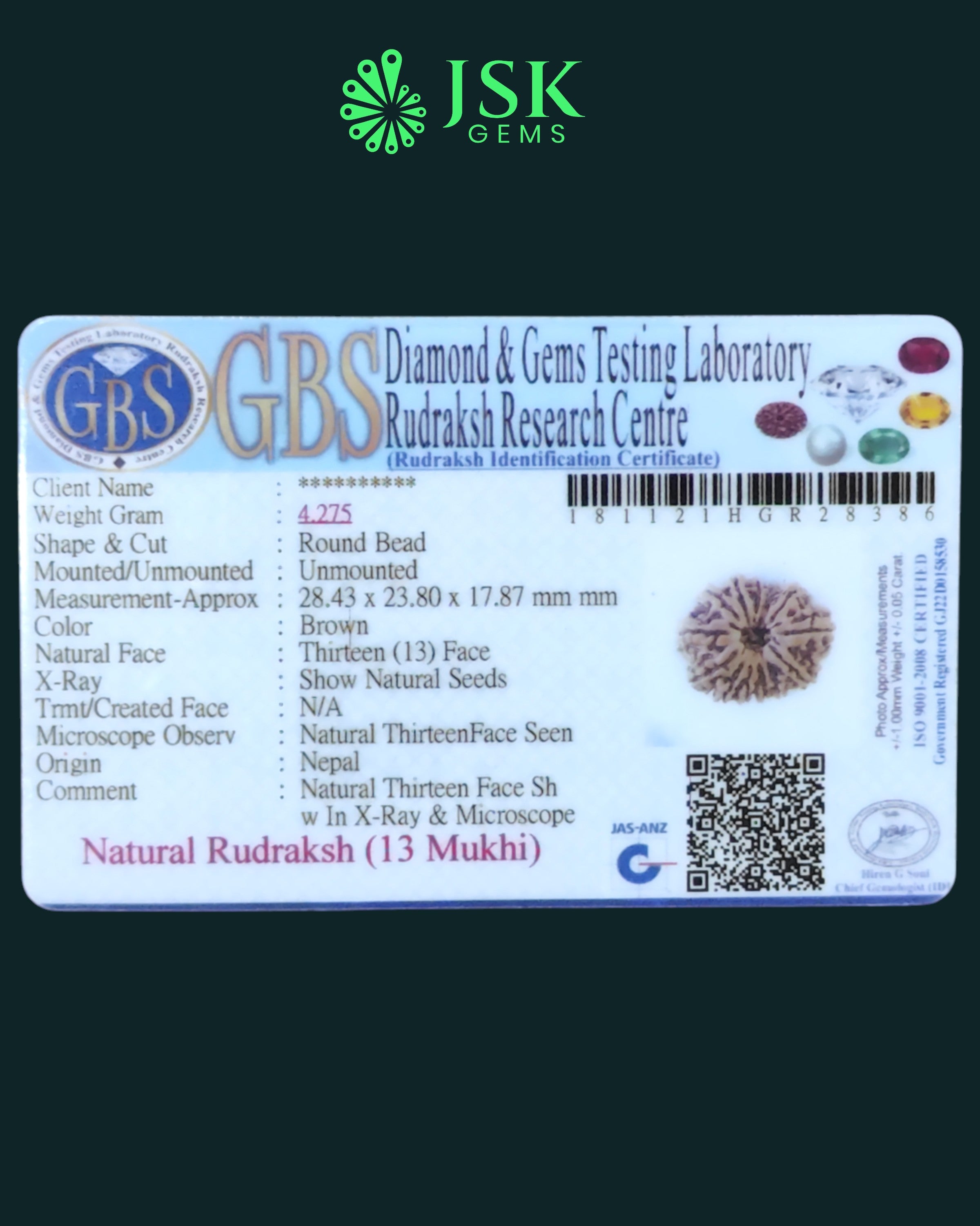 Certified 13 Mukhi Rudraksha from Nepal - Premium Quality