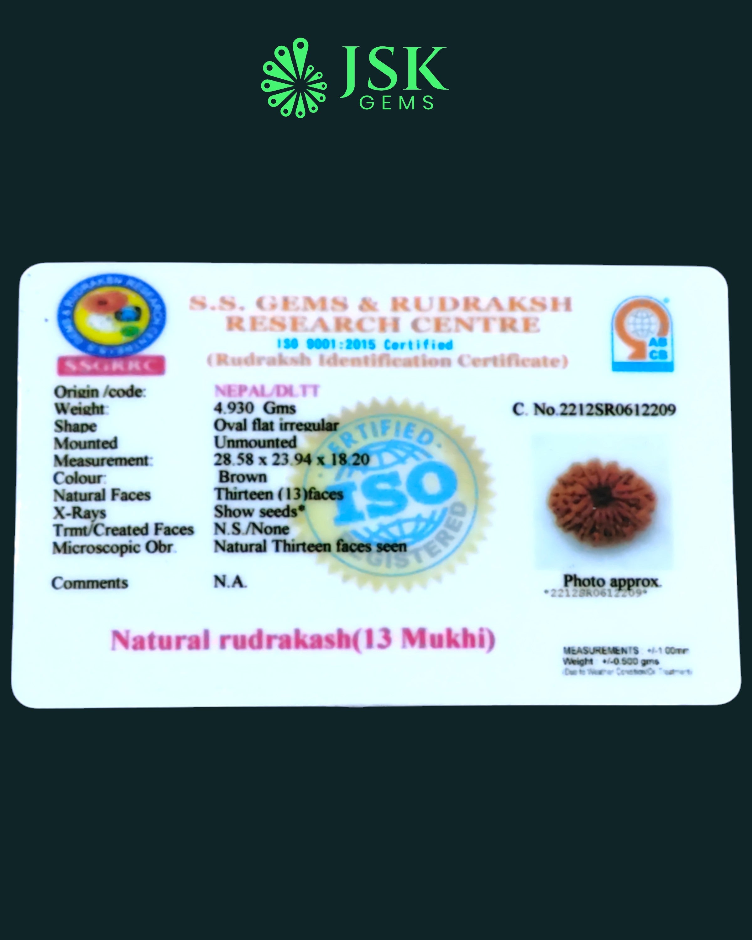 Certified 13 Mukhi Rudraksha from Nepal - Premium Quality