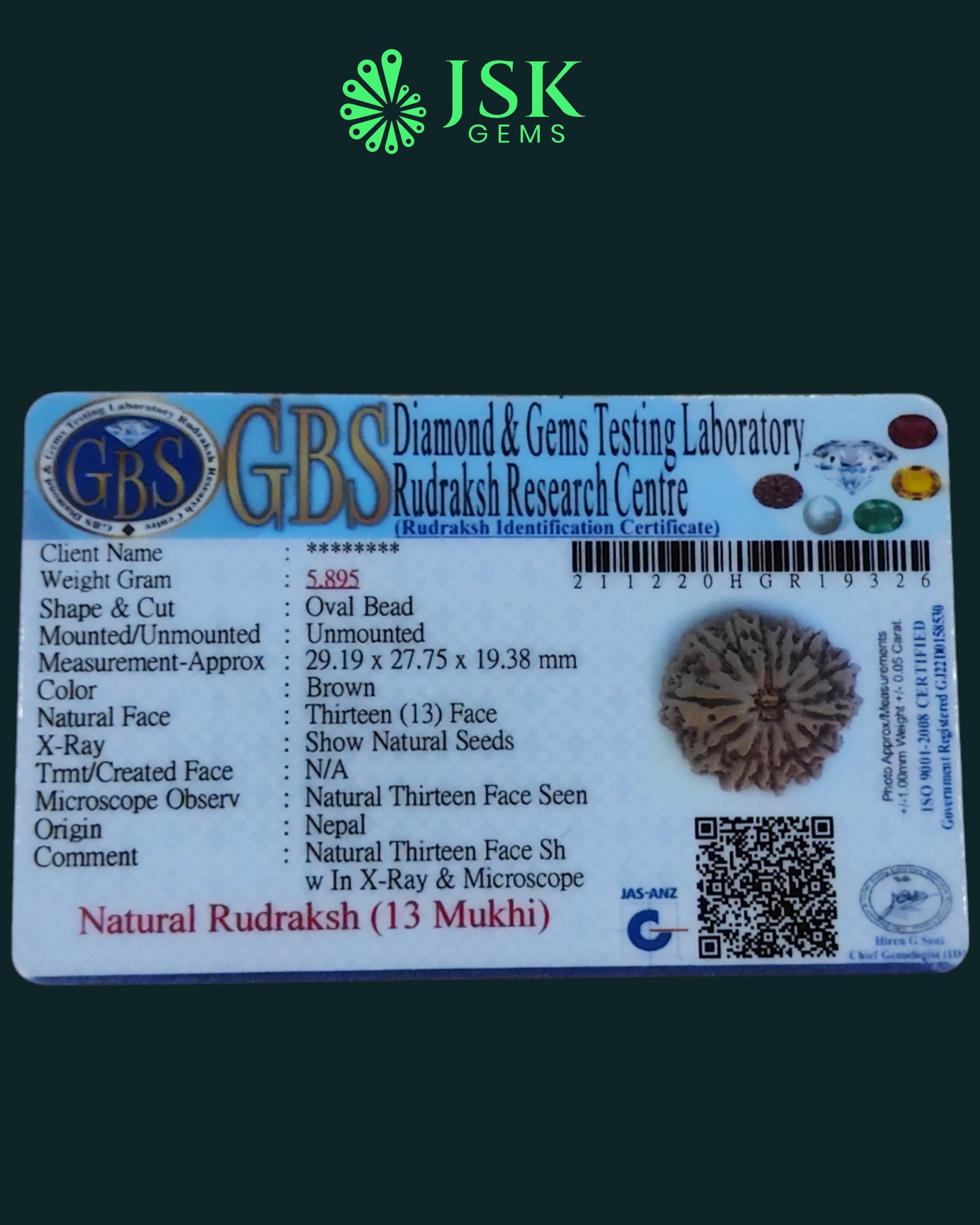 Certified 13 Mukhi Rudraksha from Nepal - Premium Quality