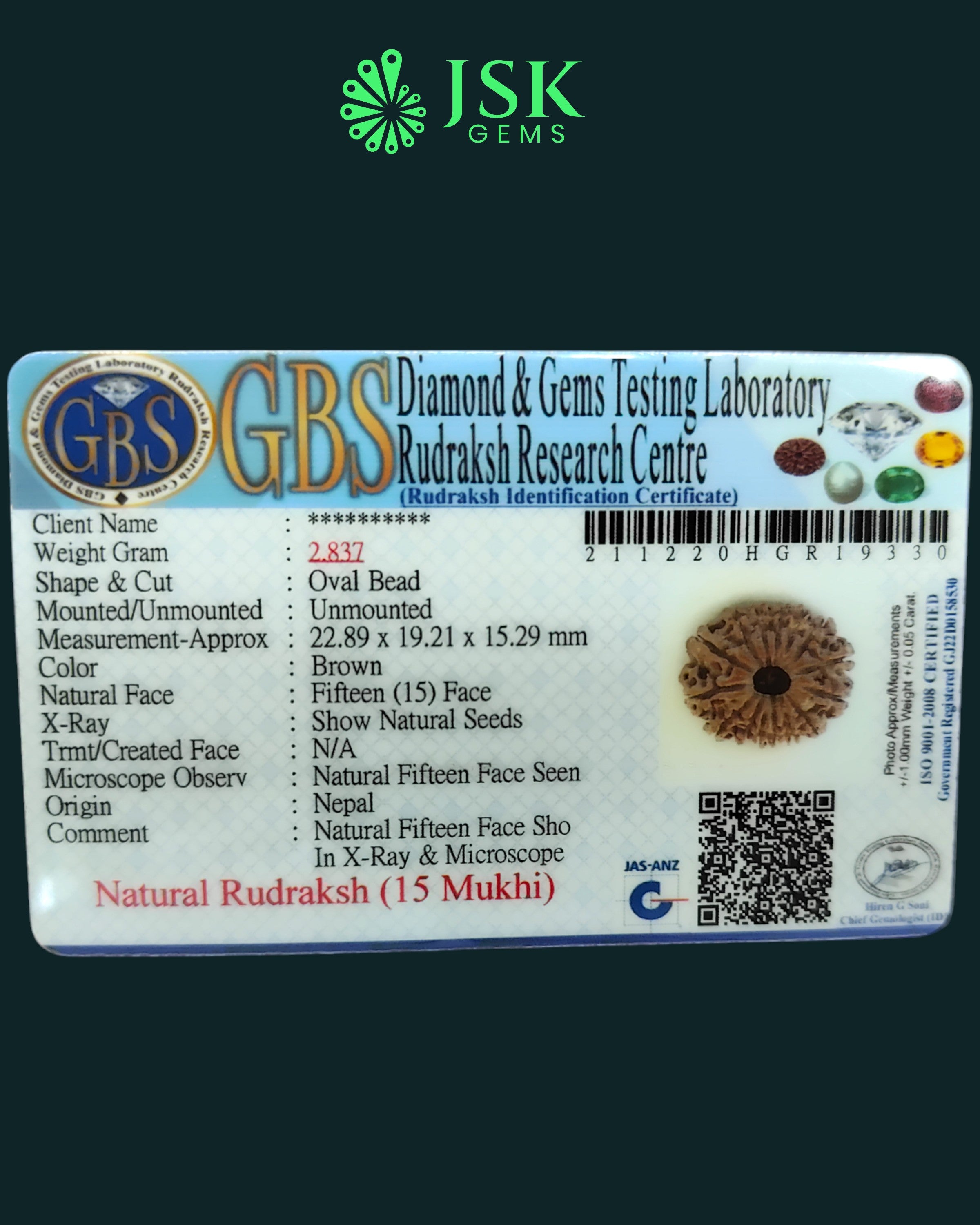 Certified 15 Mukhi Rudraksha from Nepal - Premium Quality