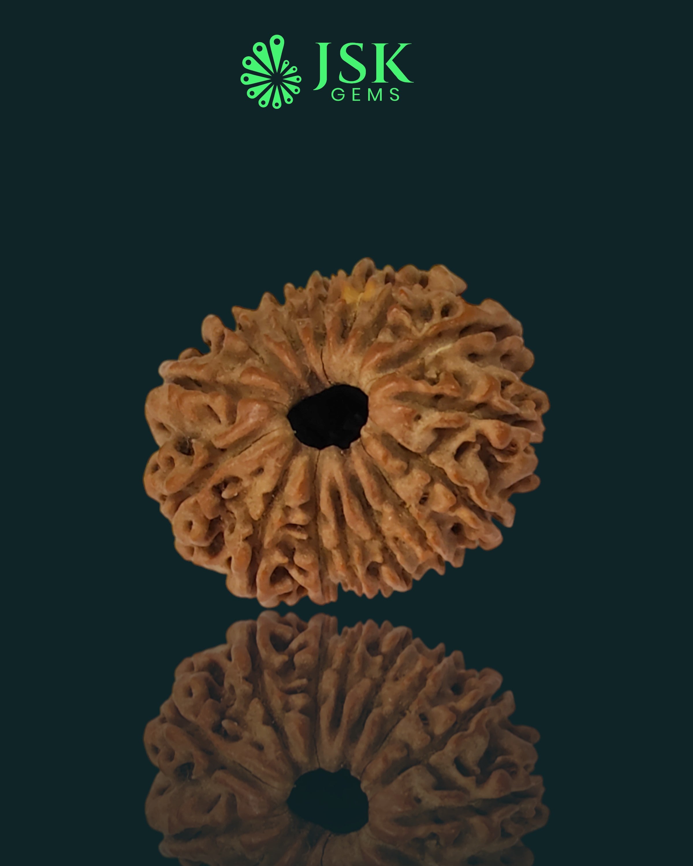 Certified 15 Mukhi Rudraksha from Nepal - Premium Quality