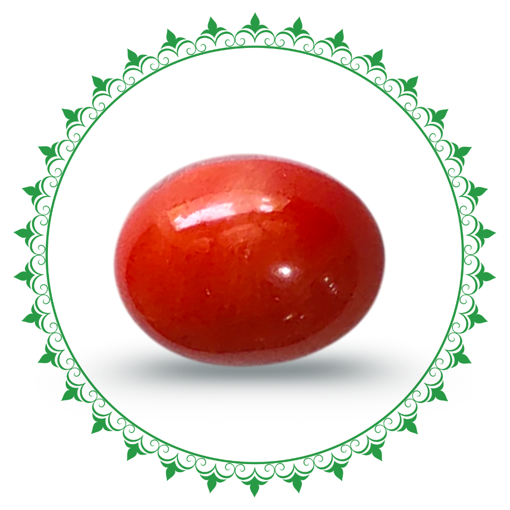 Red Coral - Moonga