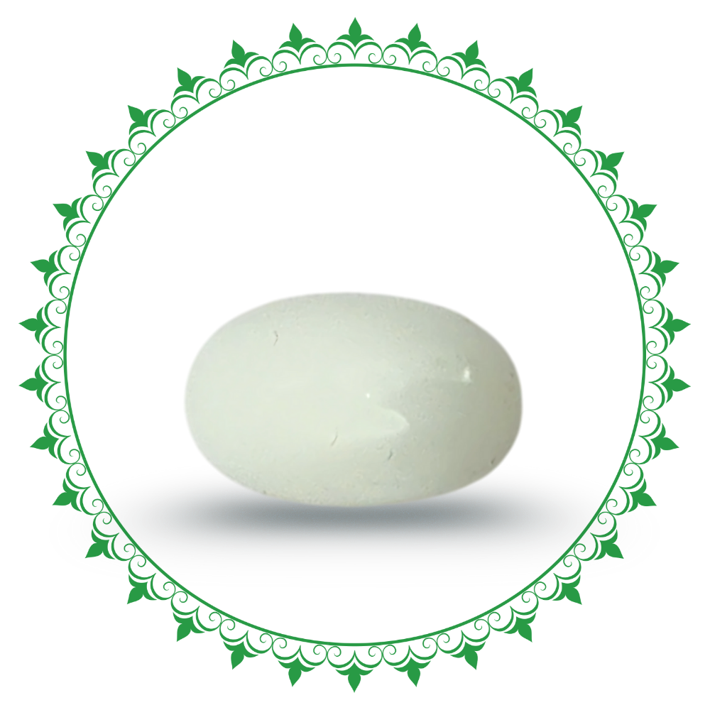 White Coral - Safed Moonga