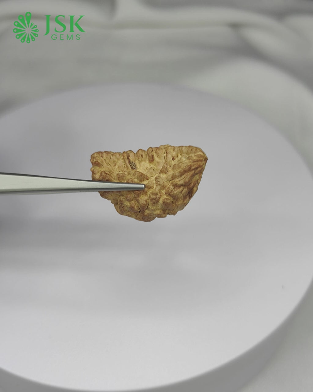 Load video: Certified 1 Mukhi Rudraksha - Kaju Dana from Nepal - Premium Quality