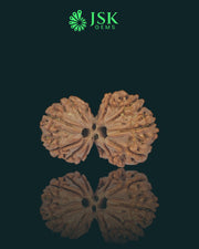 Certified Gauri Shankar Rudraksha from Nepal - Premium Quality