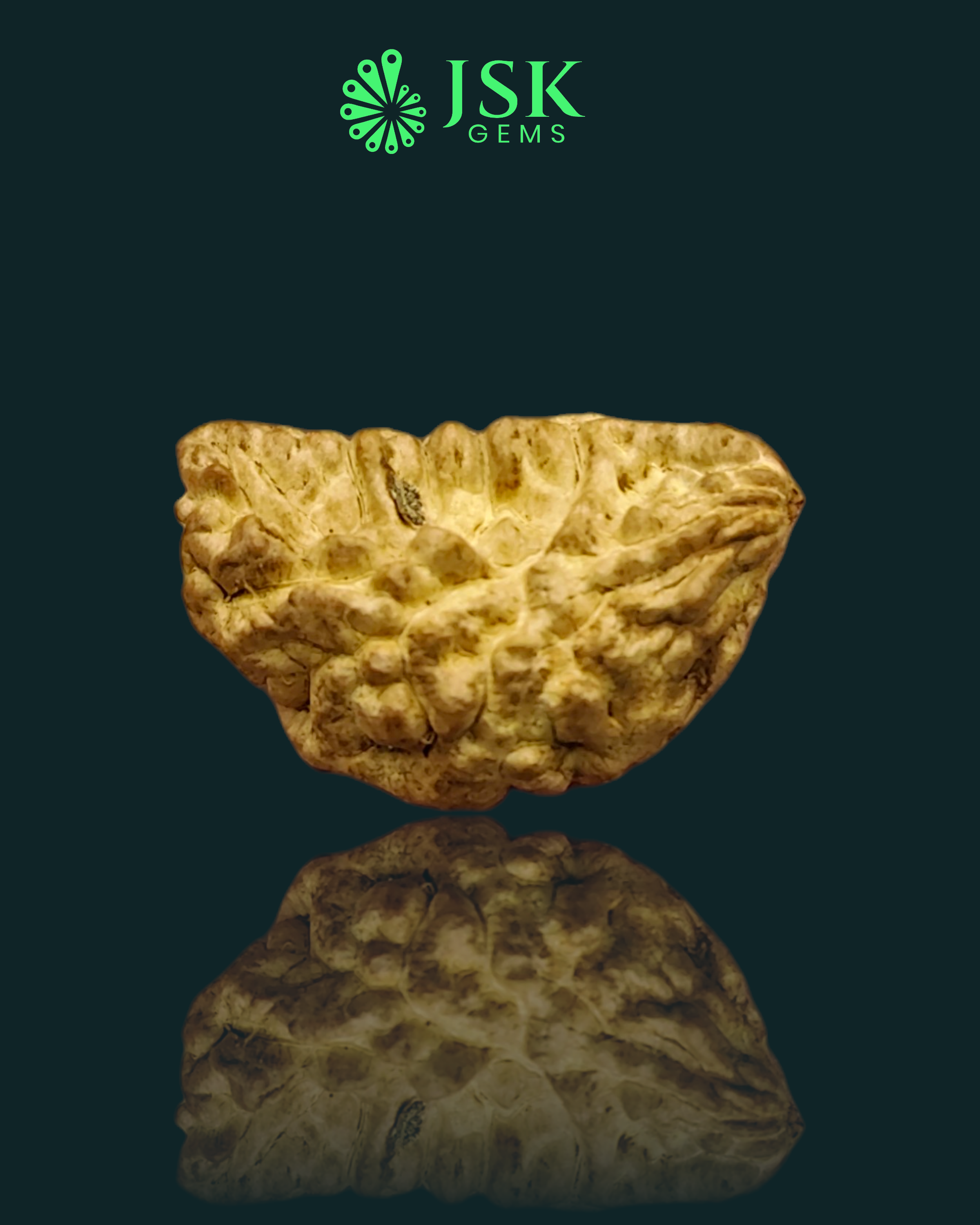 Certified 1 Mukhi Rudraksha - Kaju Dana from Nepal - Premium Quality