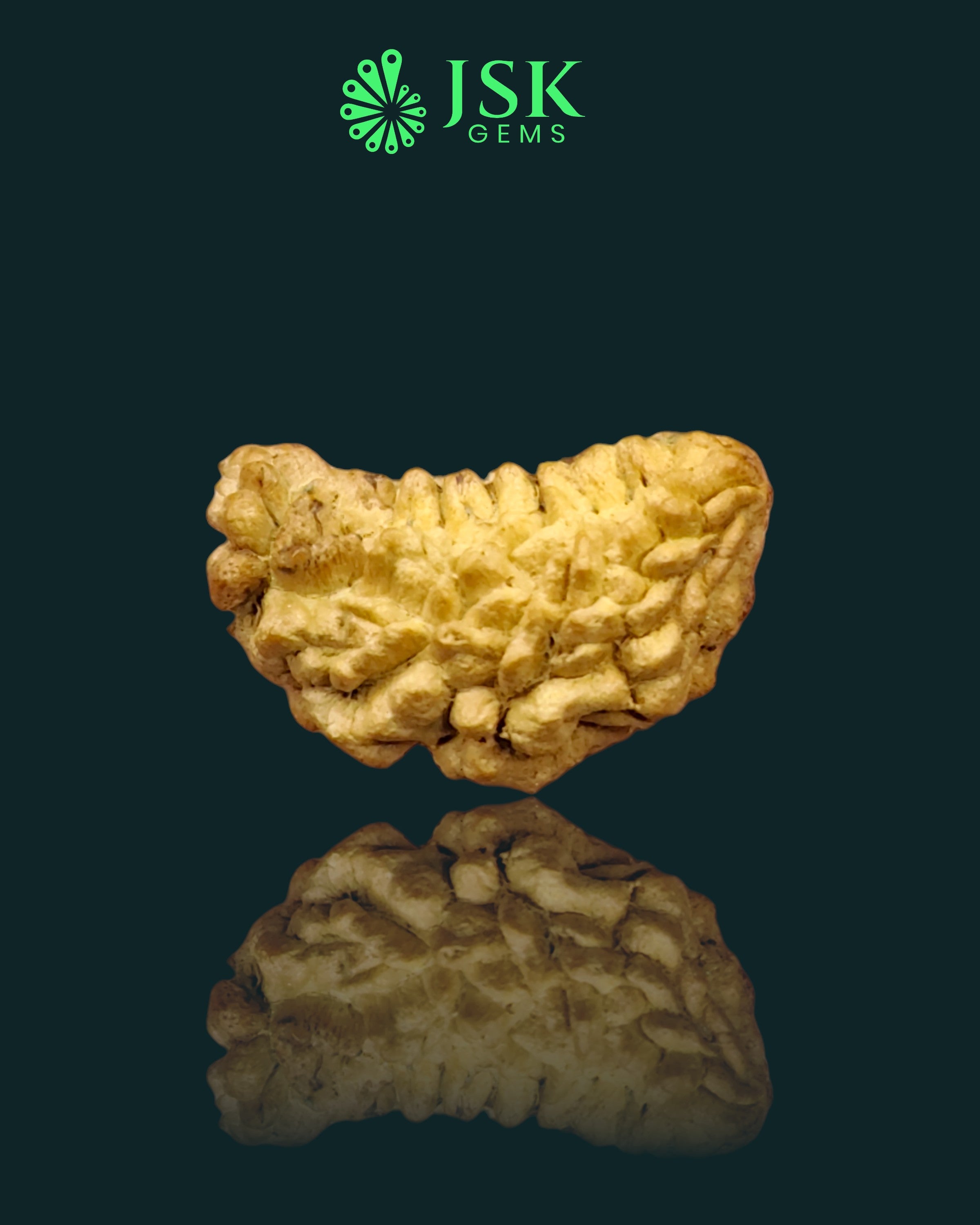 Certified 1 Mukhi Rudraksha - Kaju Dana from Nepal - Premium Quality