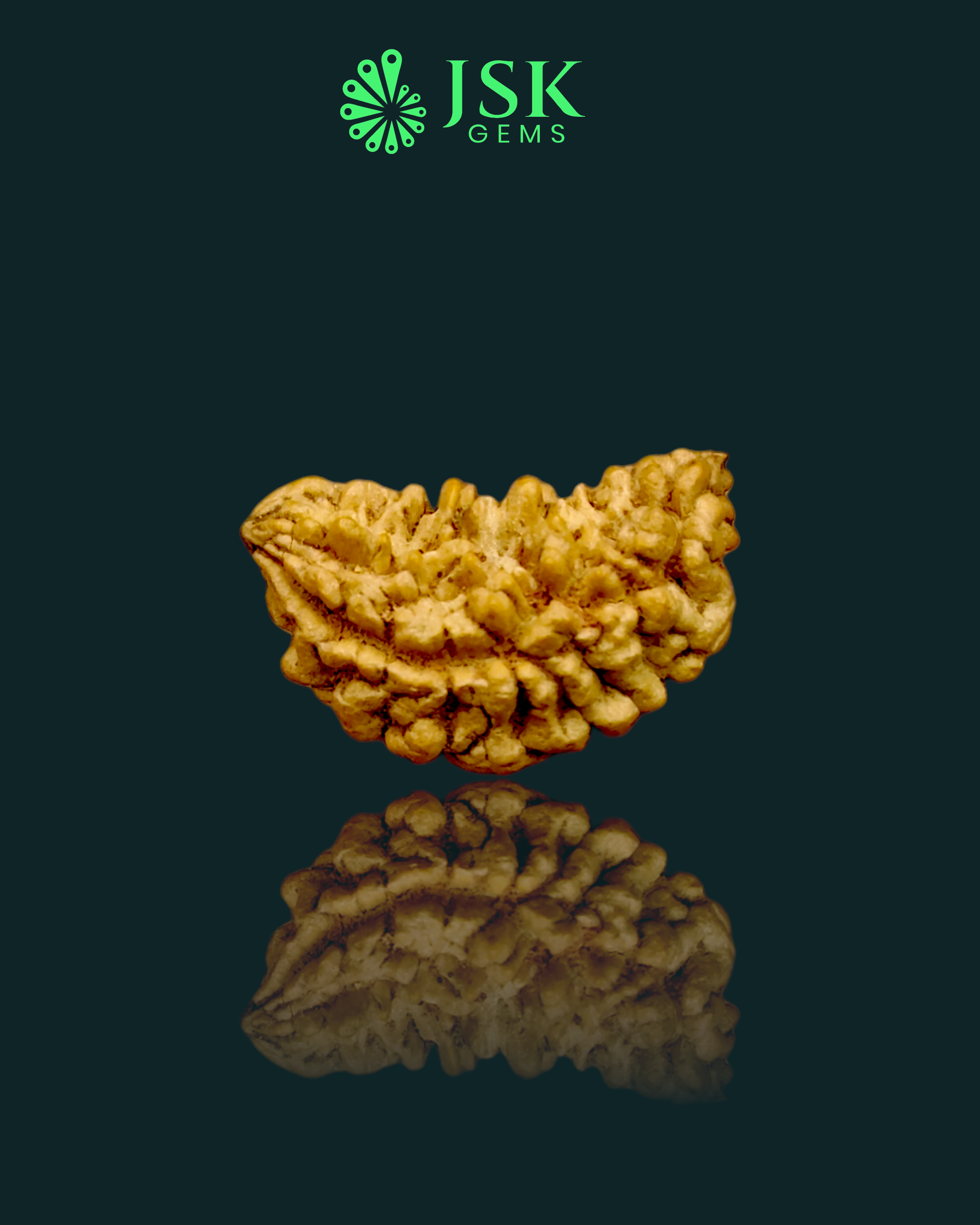 Certified 1 Mukhi Rudraksha - Kaju Dana from Nepal - Premium Quality
