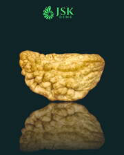 Certified 1 Mukhi Rudraksha - Kaju Dana from Nepal - Premium Quality