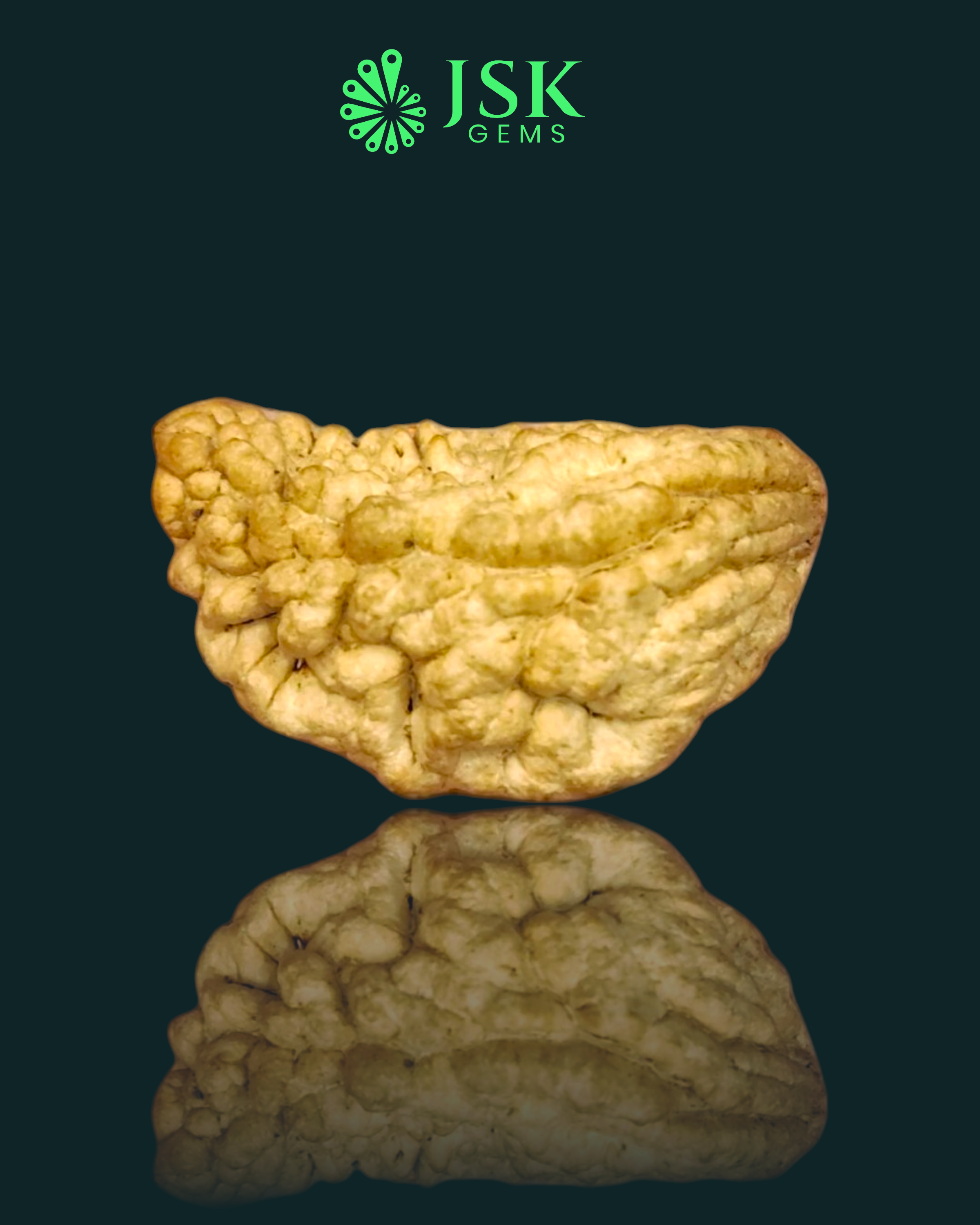 Certified 1 Mukhi Rudraksha - Kaju Dana from Nepal - Premium Quality