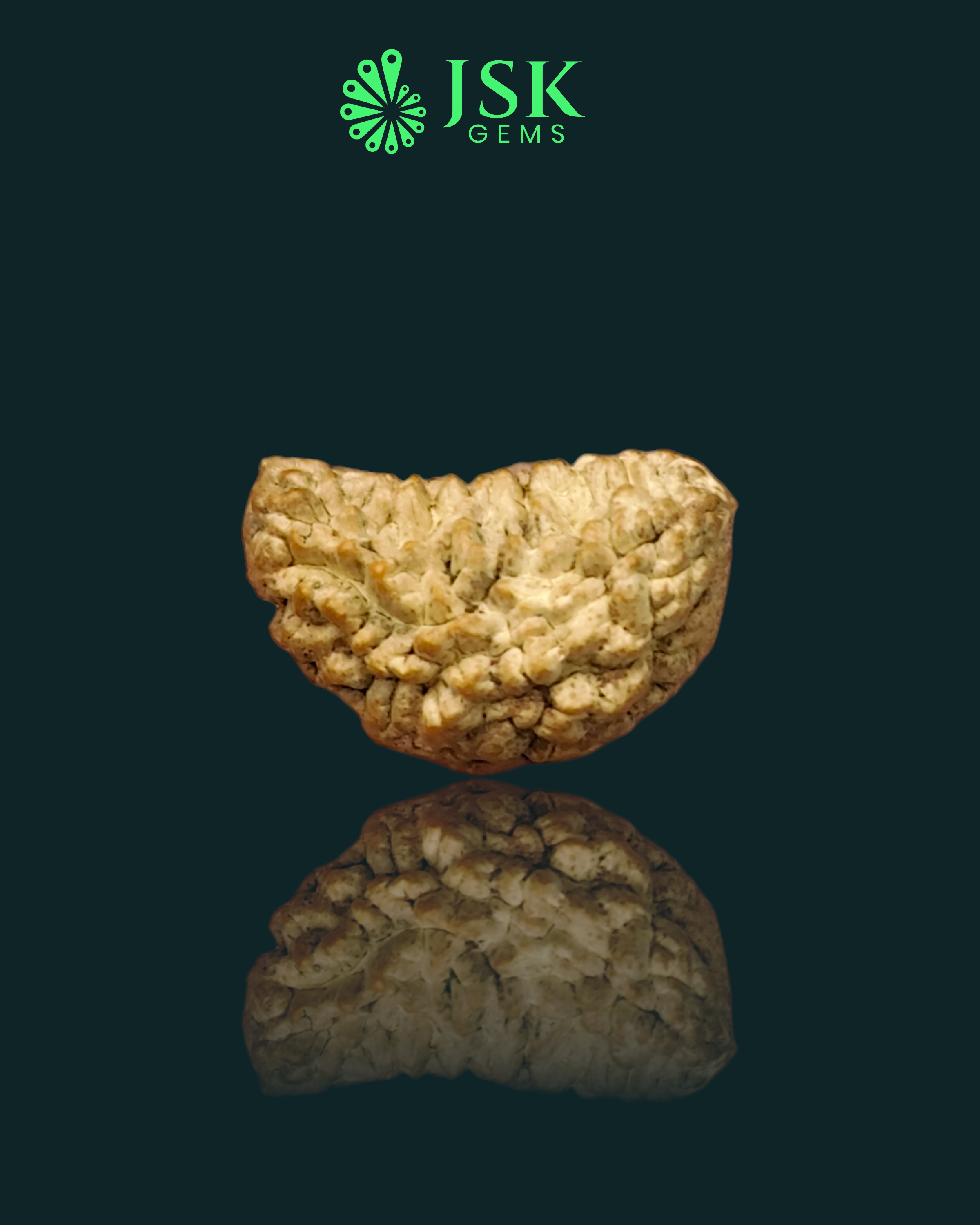Certified 1 Mukhi Rudraksha - Kaju Dana from Nepal - Premium Quality