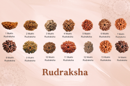 Rudraksha