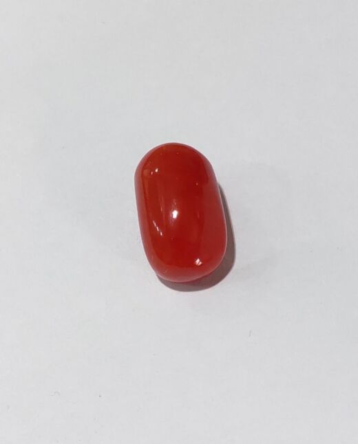 Premium Quality 17.82 Cts{19.55 Ratti} Natural Red Coral/Laal Moonga
