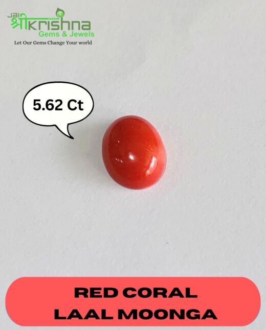 Premium Quality 5.62 Ct{6.16 Ratti} Natural Japanese Red Coral/Laal Moonga