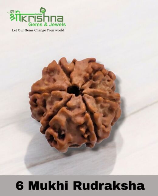 Premium Quality 6 Mukhi Nepali Rudraksha (Size: 23 MM) 